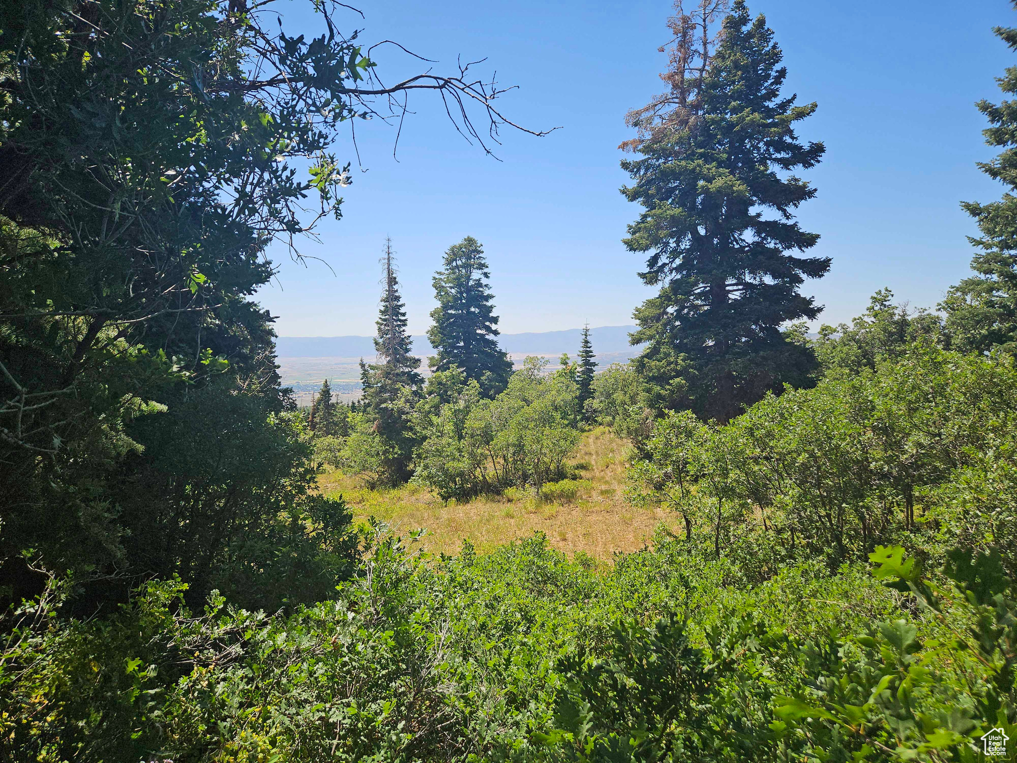 Lot 1002 in the Aspen Hills Subdivision. Property is located in the upper section of the subdivision. This is a very desirable area with several cabins in the immediate area. Good road access to the property, which has good tree coverage. Property has not been excavated, but can be a good cabin site or trailer or simply a camp site.