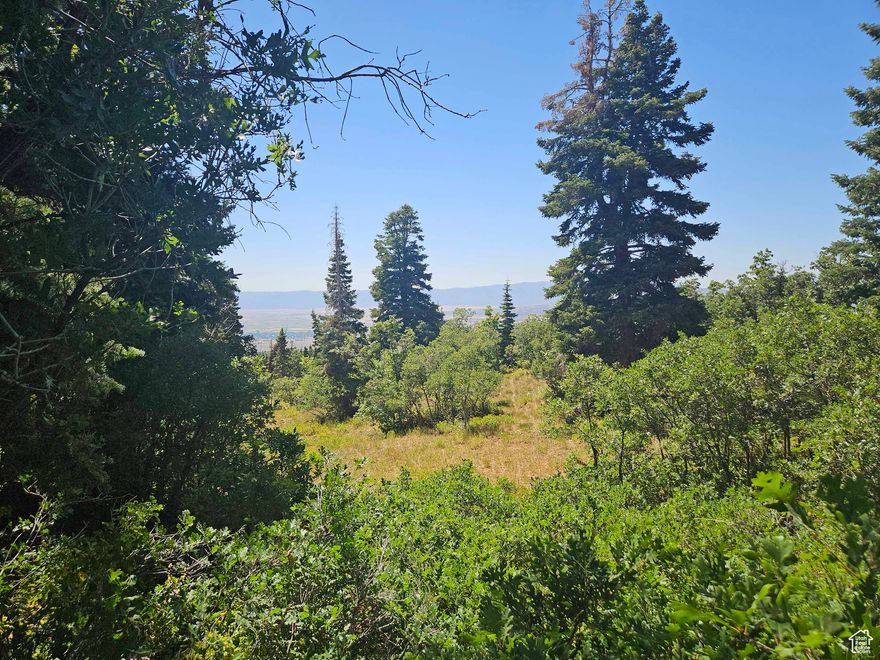 Lot 1002 in the Aspen Hills Subdivision. Property is located in the upper section of the subdivision. This is a very desirable area with several cabins in the immediate area. Good road access to the property, which has good tree coverage. Property has not been excavated, but can be a good cabin site or trailer or simply a camp site.