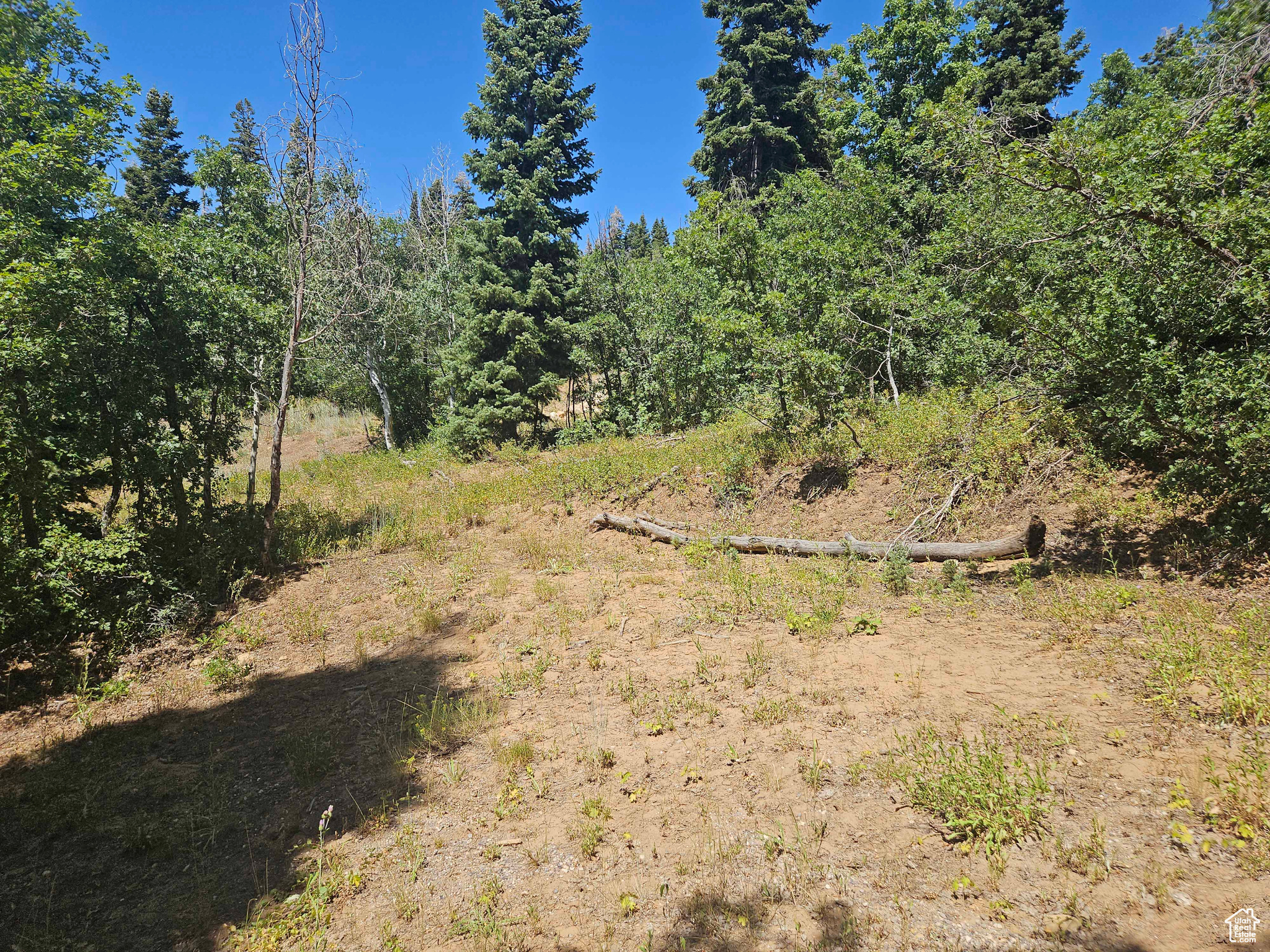 ASPEN HILLS - Land