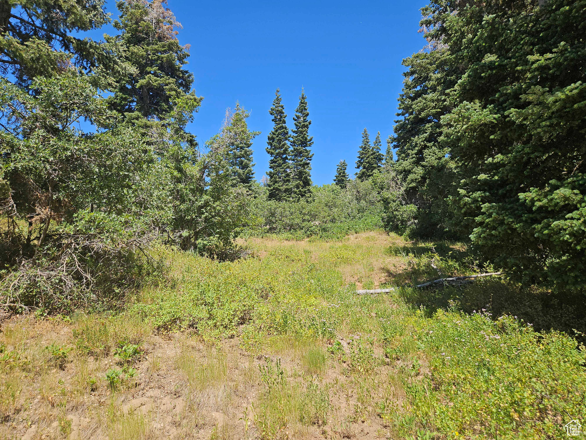 ASPEN HILLS - Land
