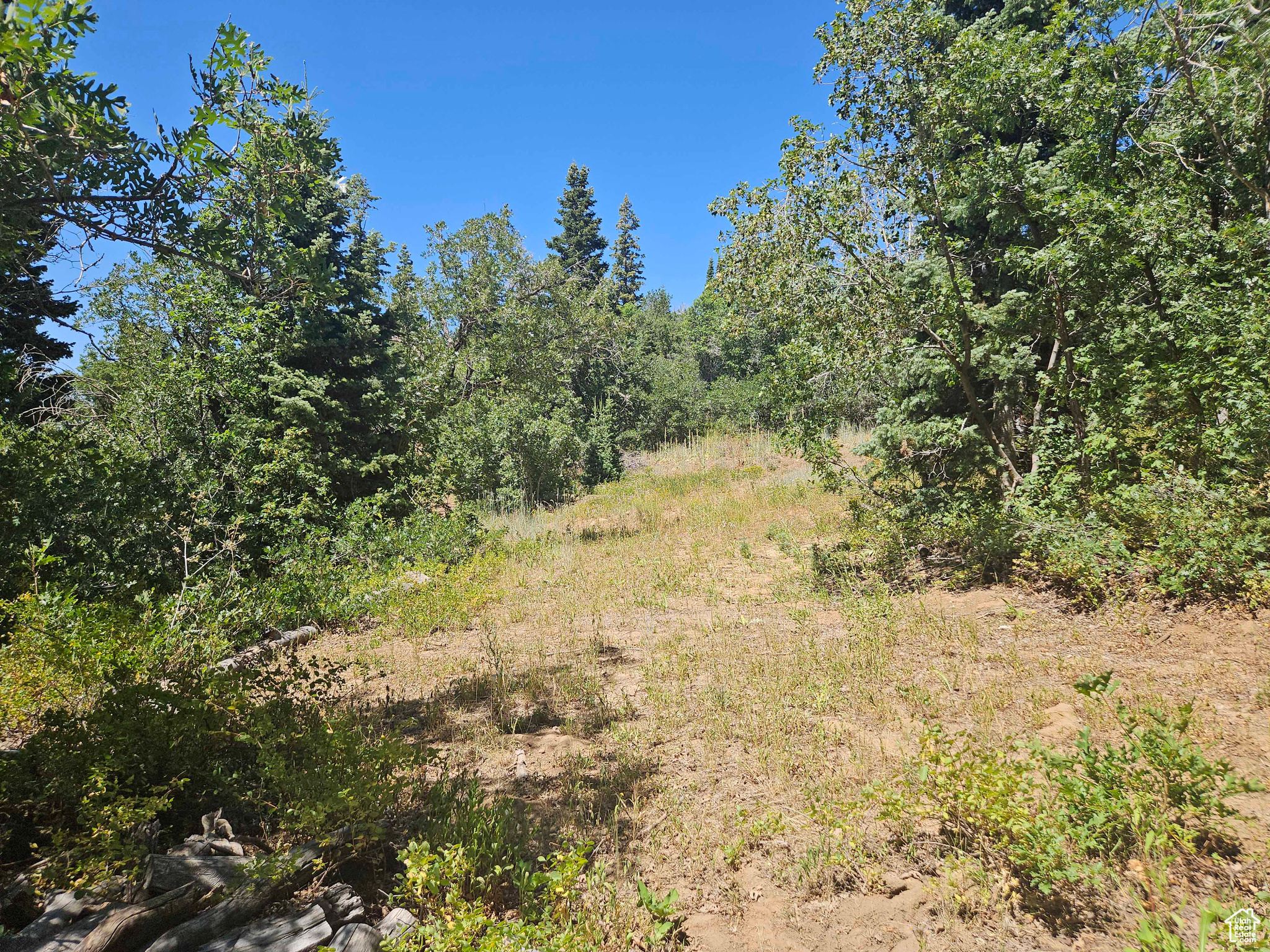 ASPEN HILLS - Land