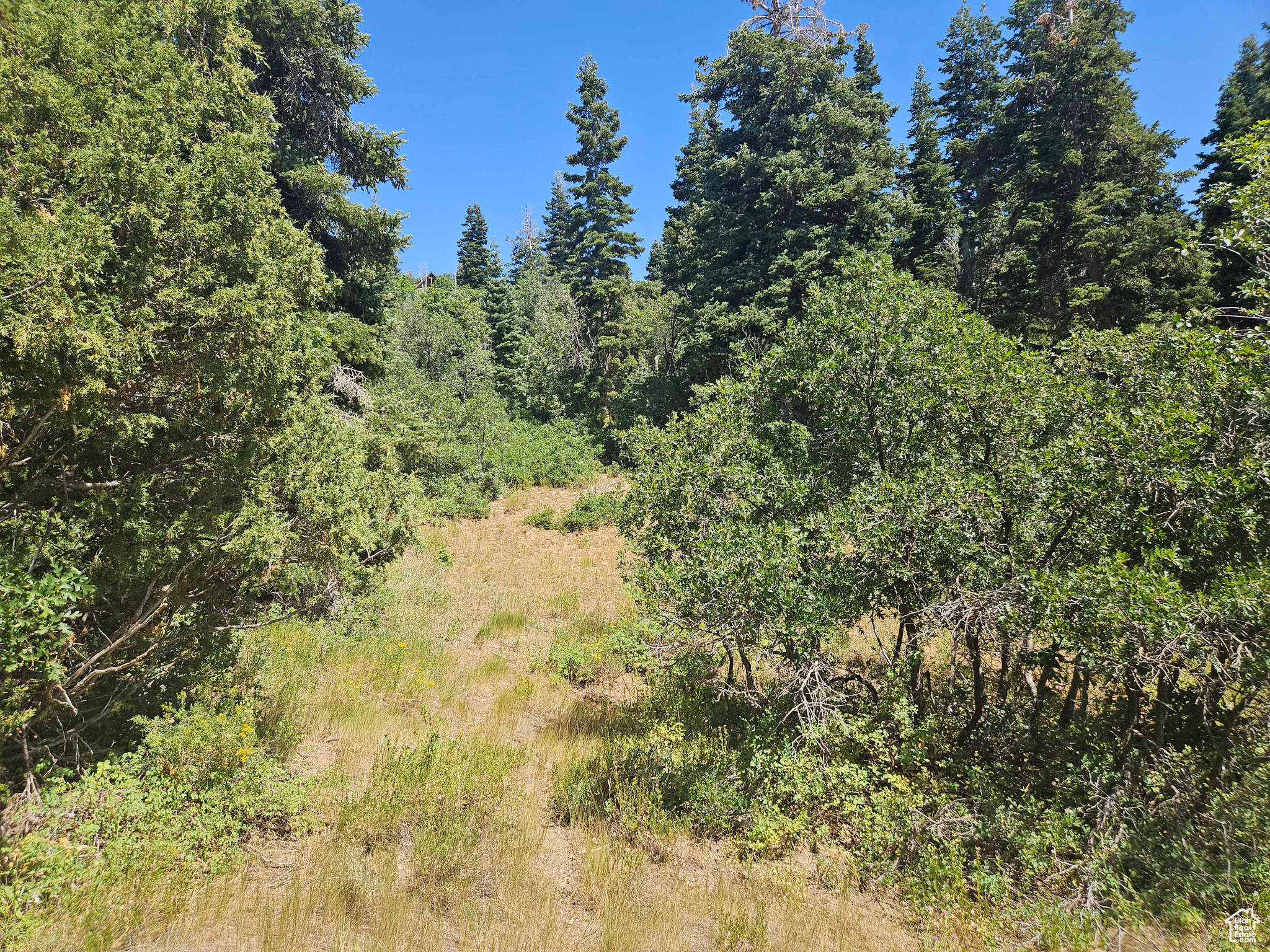 ASPEN HILLS - Land