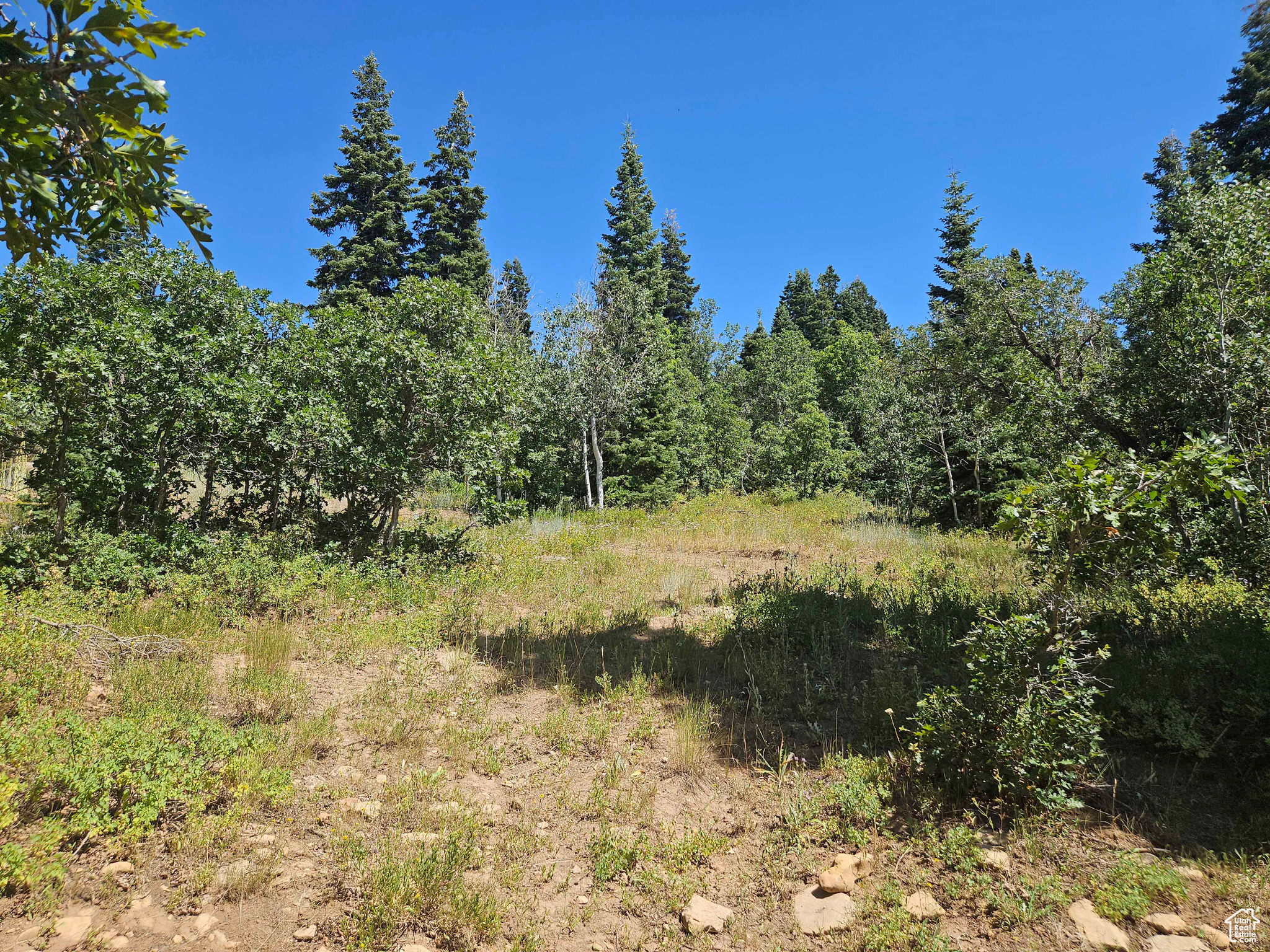 ASPEN HILLS - Land