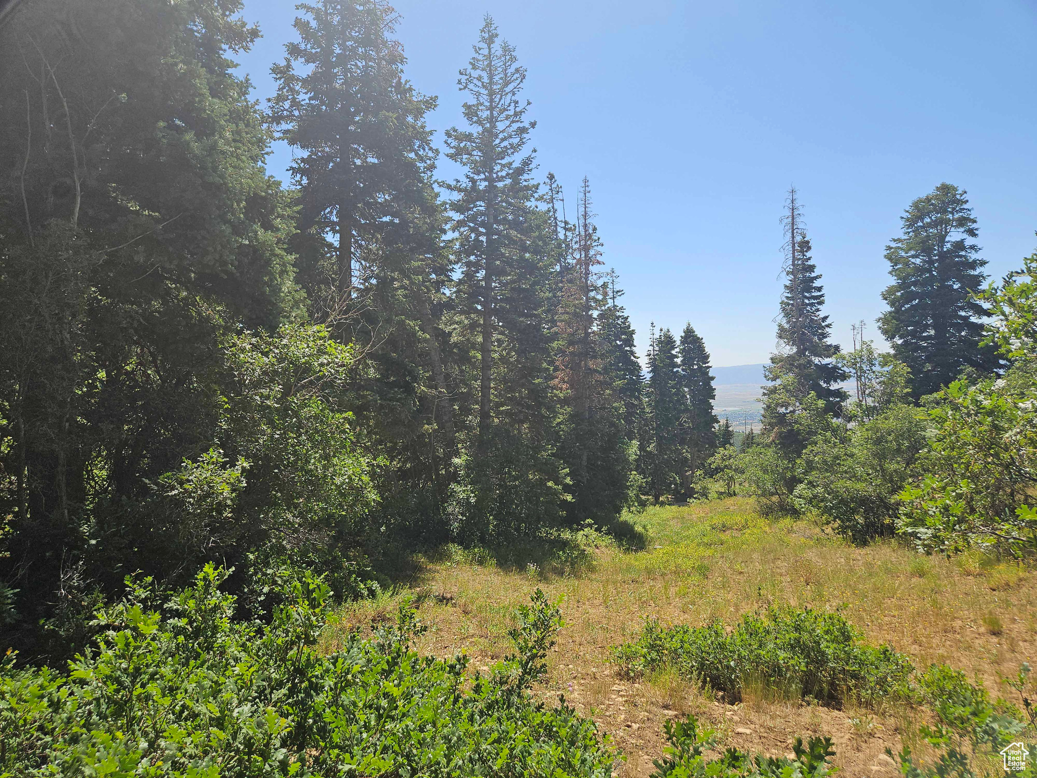 ASPEN HILLS - Land