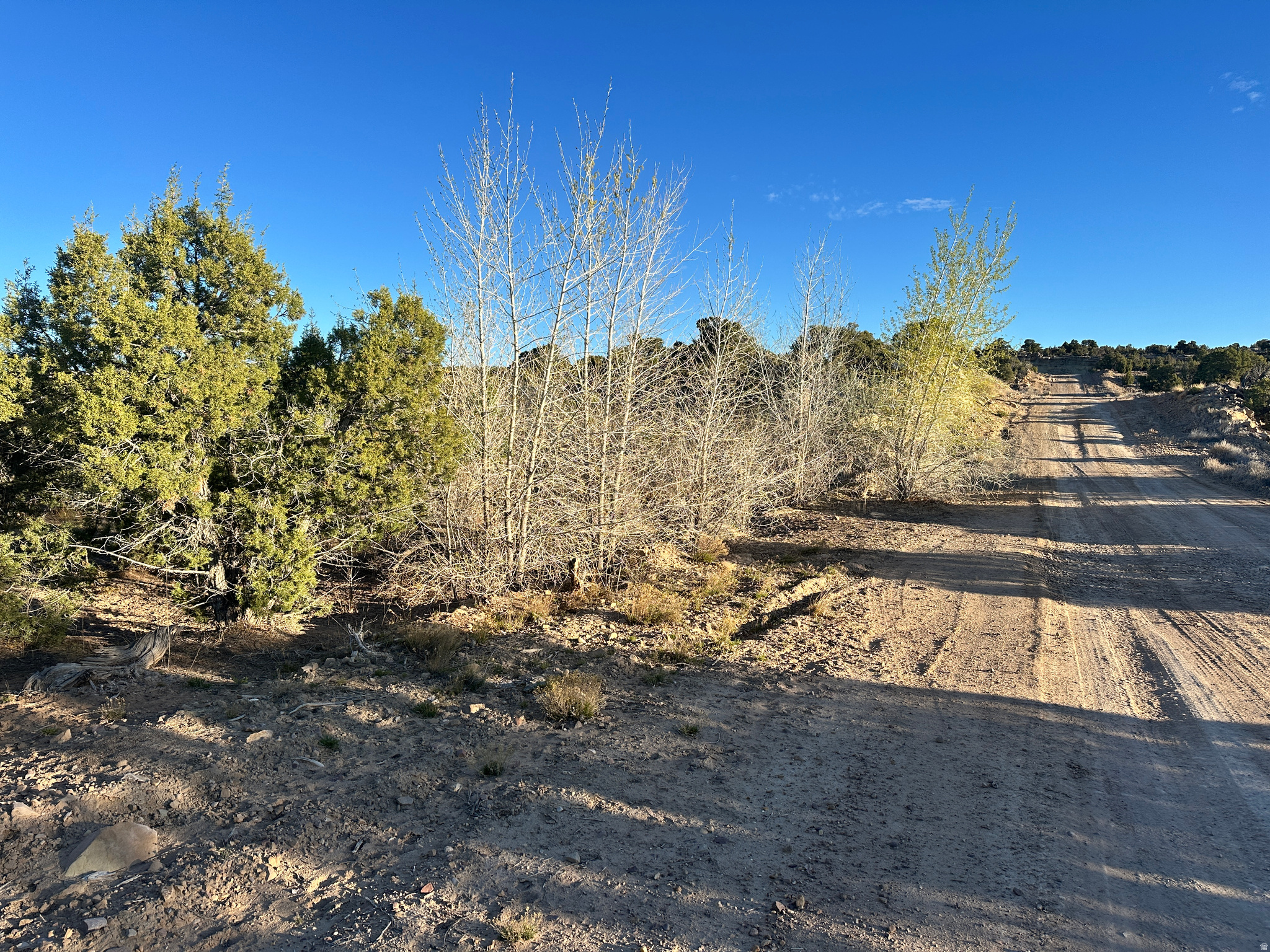 REDHAWK RANCHES - Land