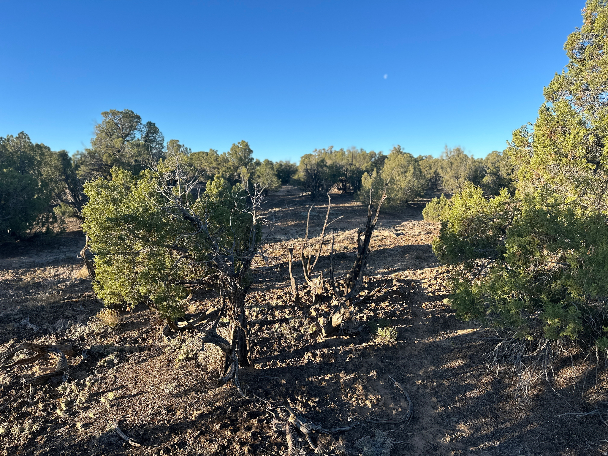 REDHAWK RANCHES - Land