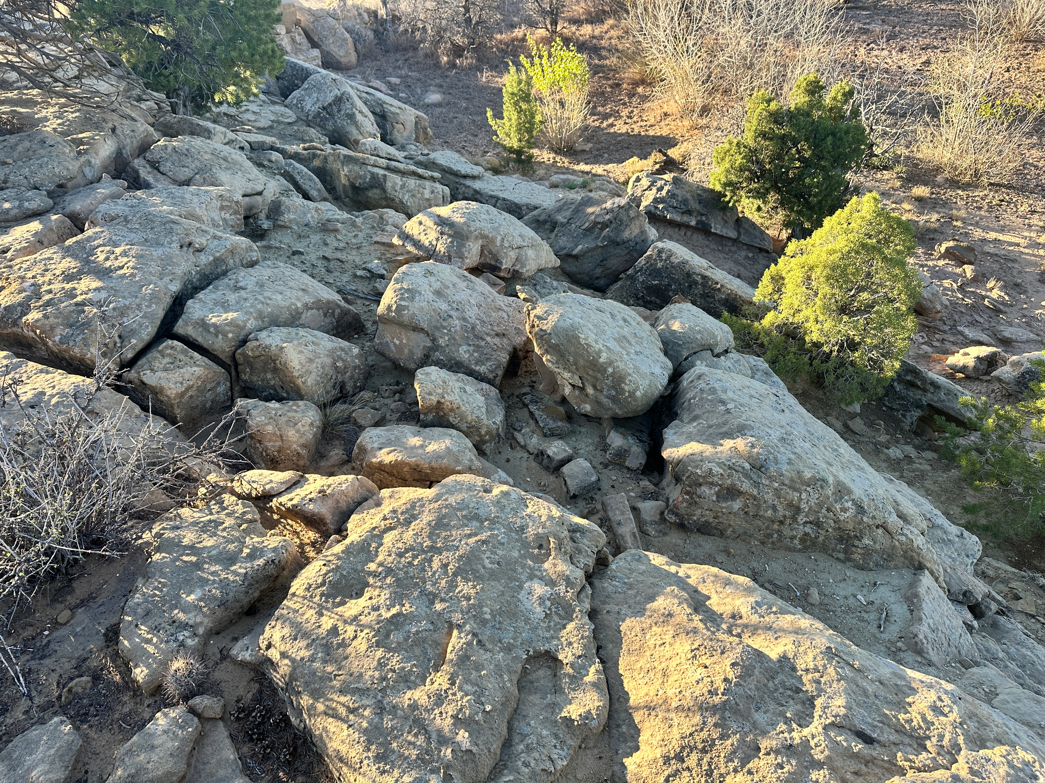 REDHAWK RANCHES - Land