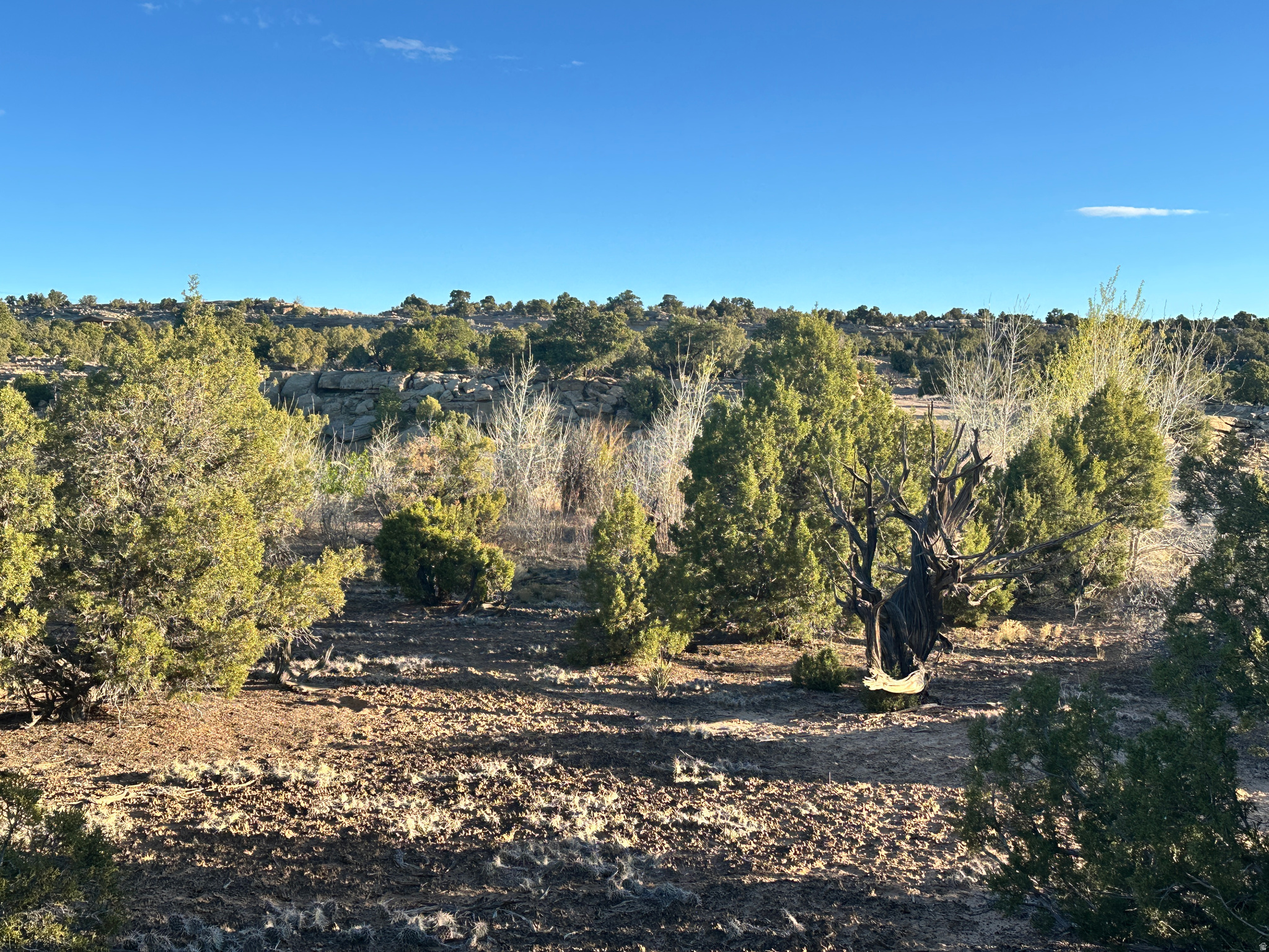 REDHAWK RANCHES - Land