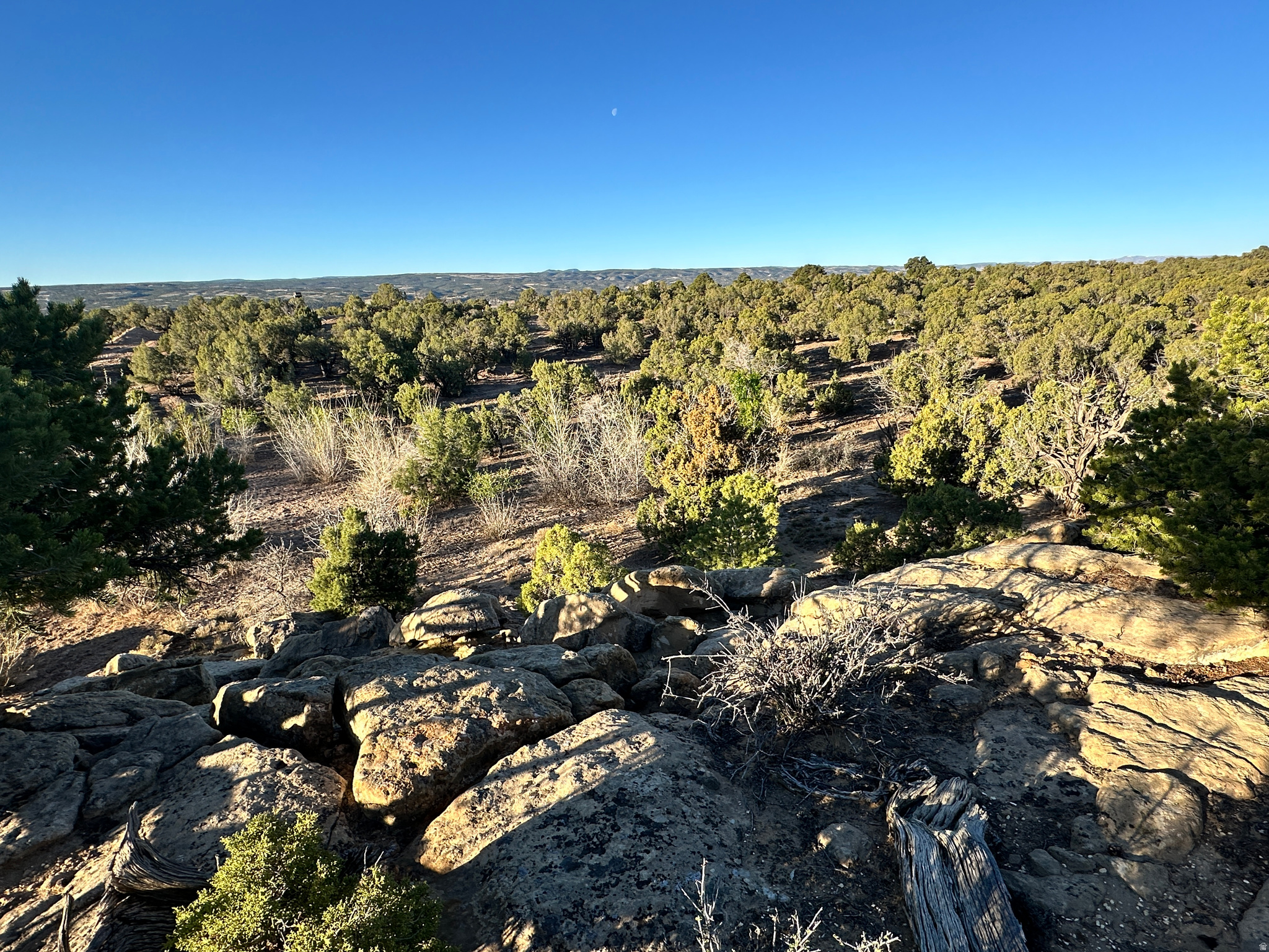 REDHAWK RANCHES - Land