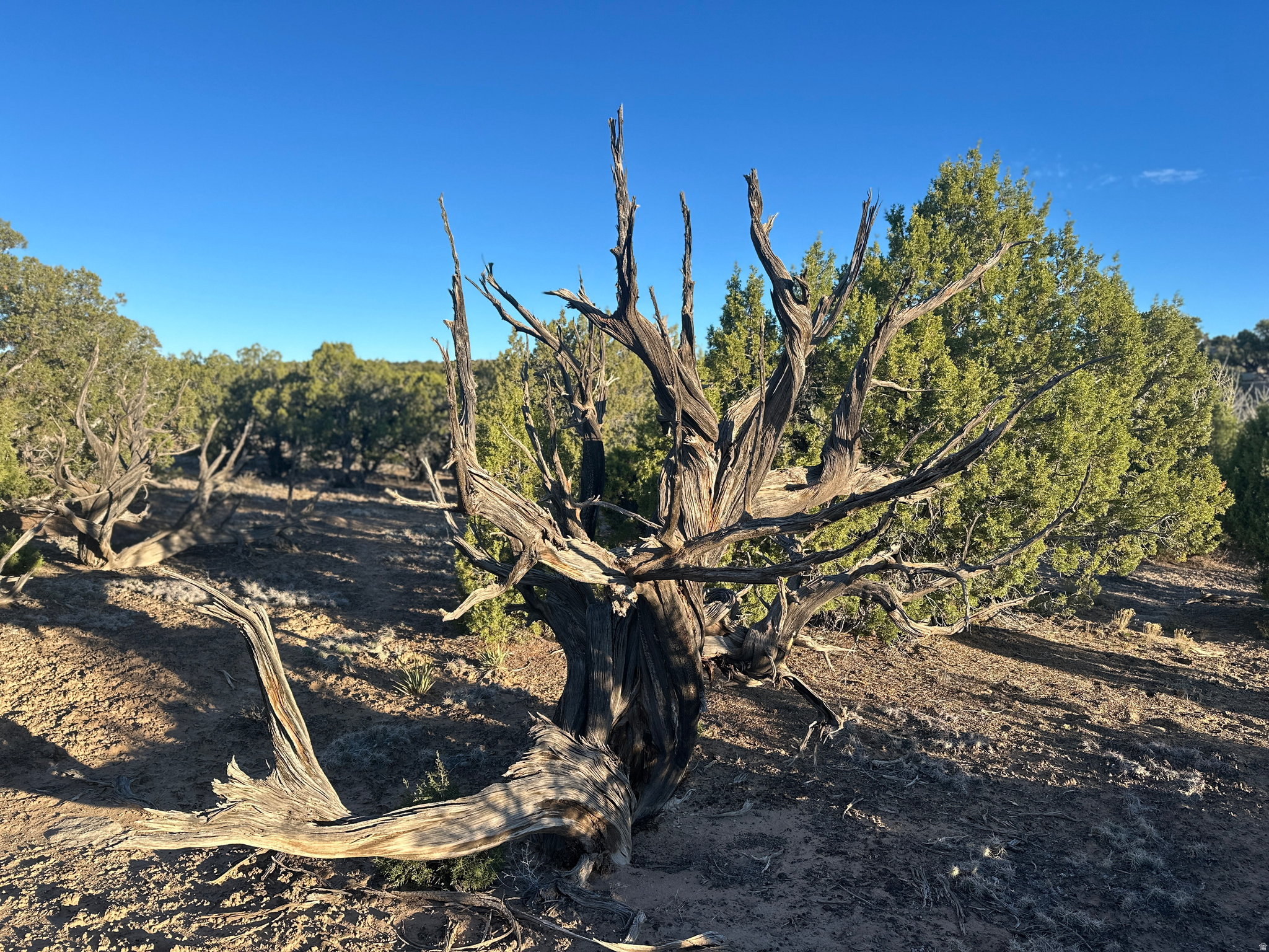 REDHAWK RANCHES - Land