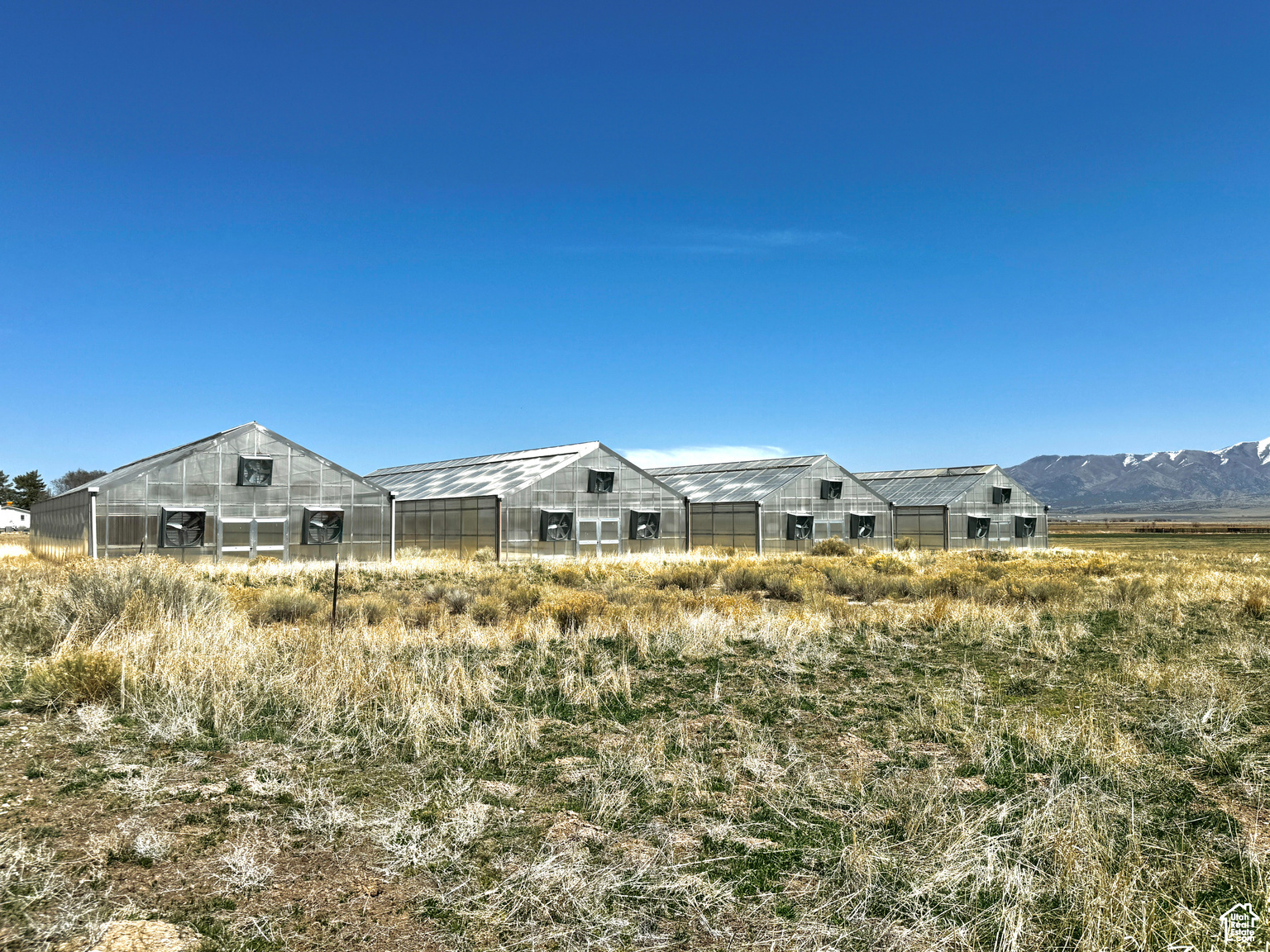 50 E Pine St, Rush Valley, Utah image 3