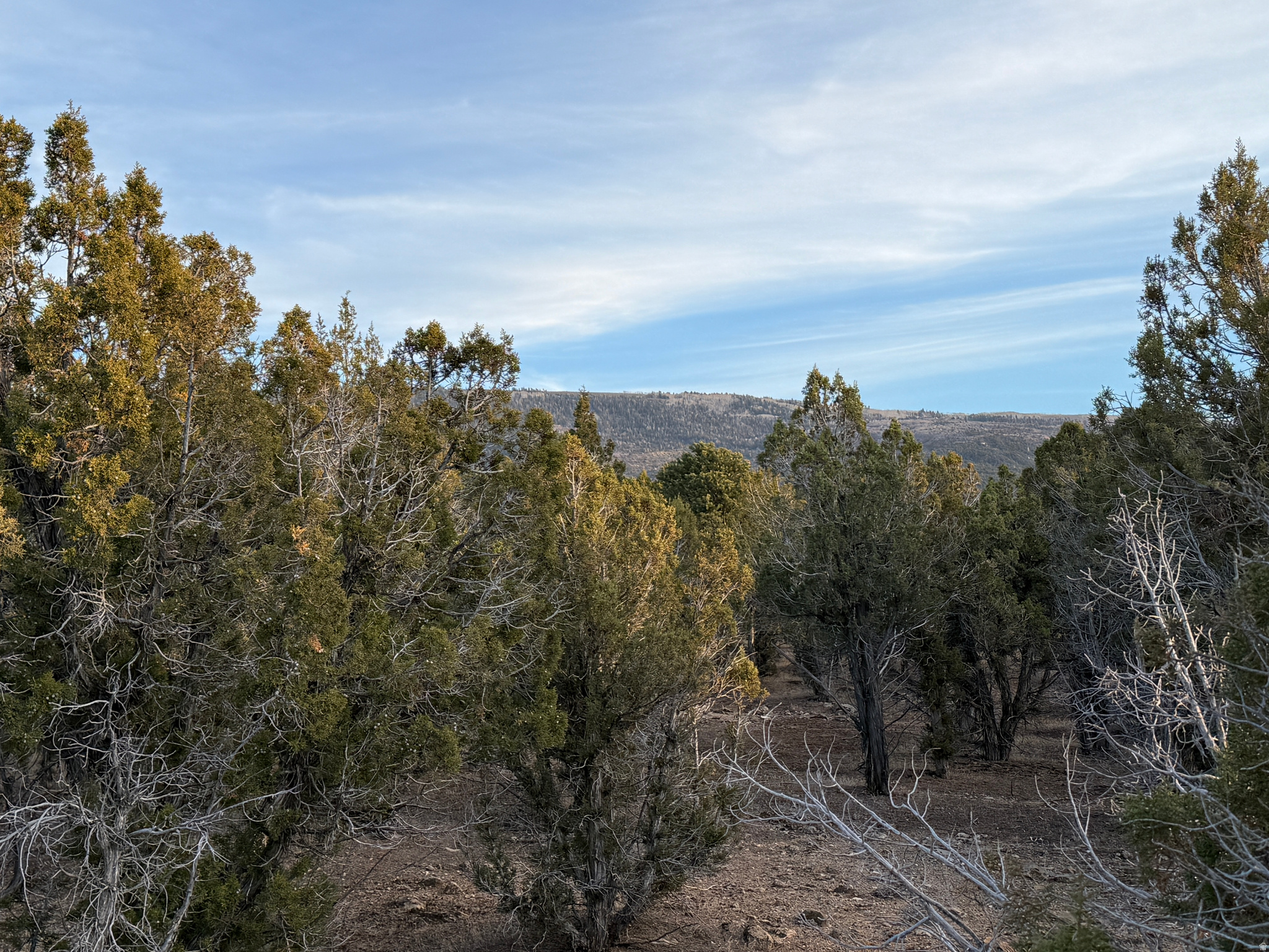 DEERFIELD ESTATES - Land