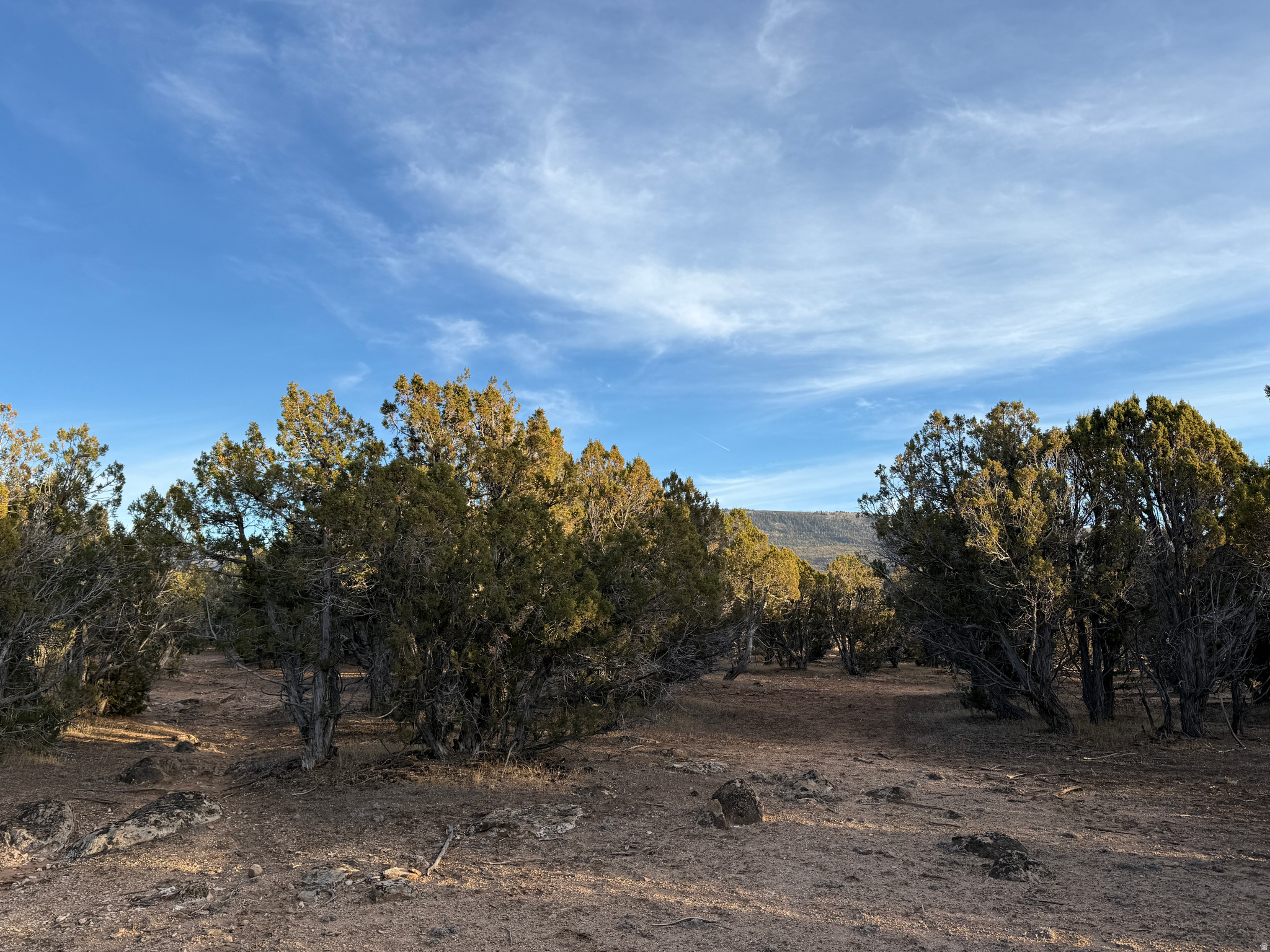 DEERFIELD ESTATES - Land