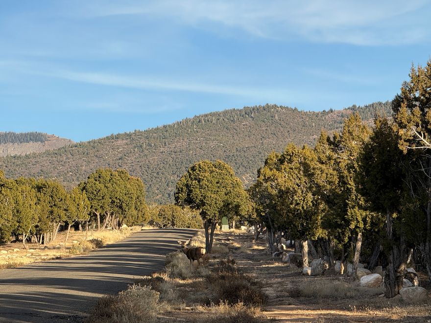 10 acres available in Deerfield Estates, featuring 1 acre-foot of well water rights. Water and power are stubbed to the property, and sewer would be a septic system. Seller is open to seller financing or willing to subordinate, making it easier for you to build your dream home. Google Maps/Earth is 39.434564, -111.512907  Buyer to verify all information.