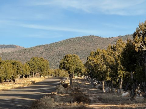 Vacant Land For Sale - #2<br/> Spring City, UT 84662