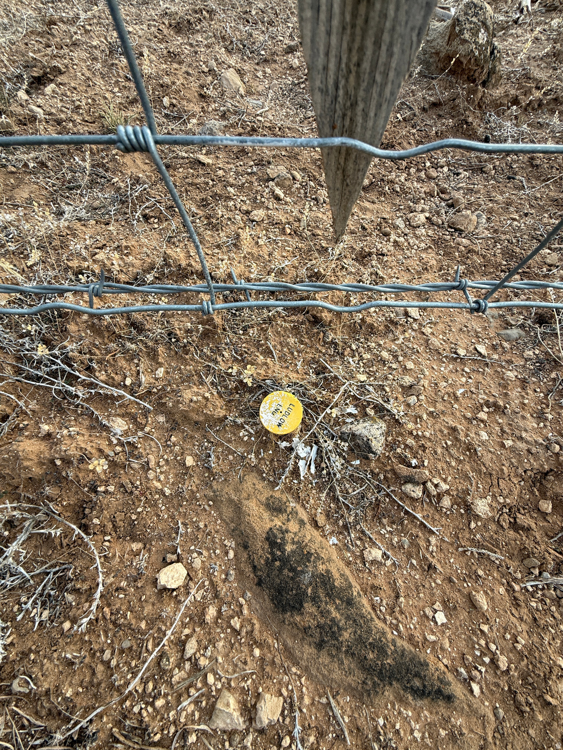 DEERFIELD ESTATES - Land