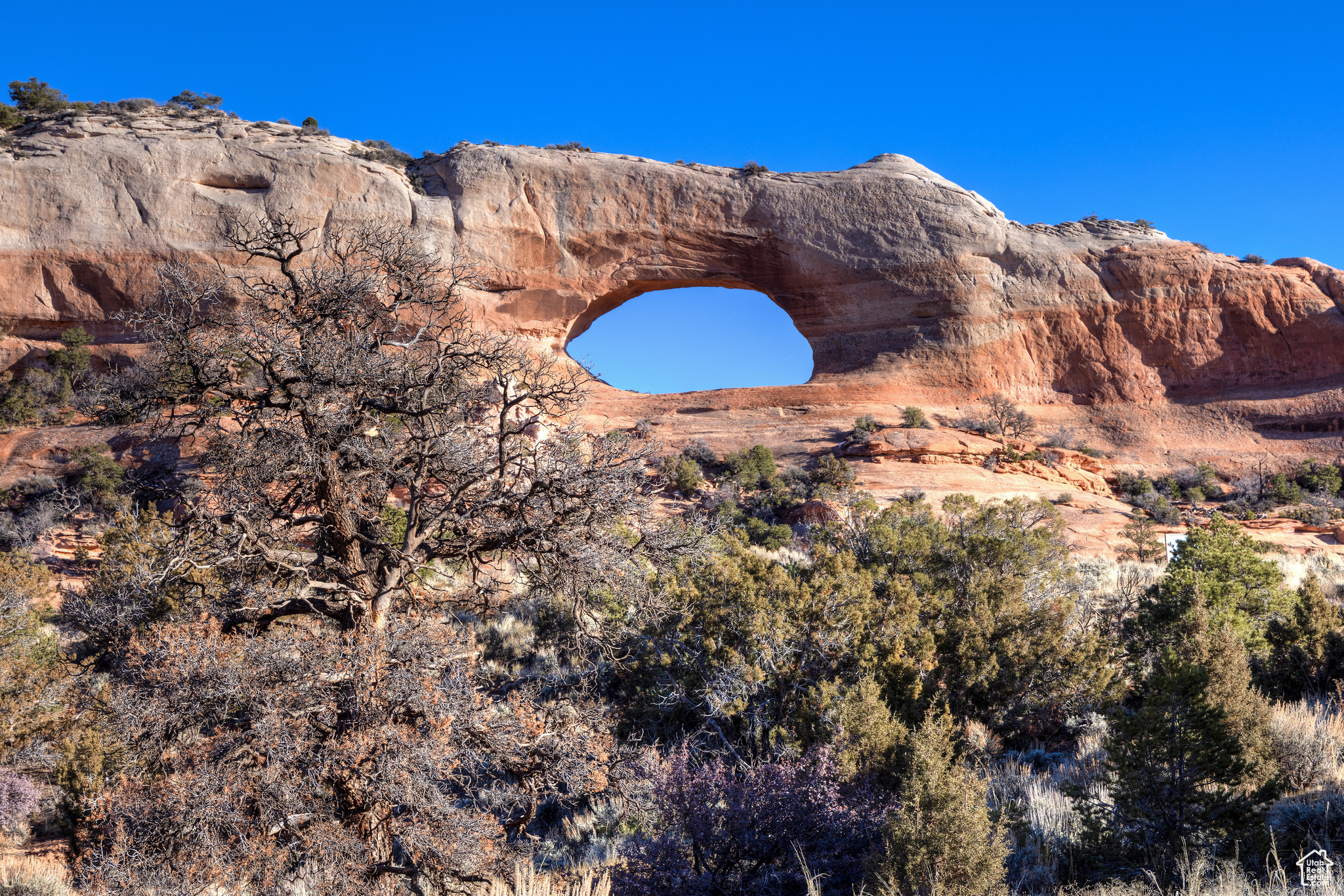 WILSON ARCH RESORT - Commercial Sale