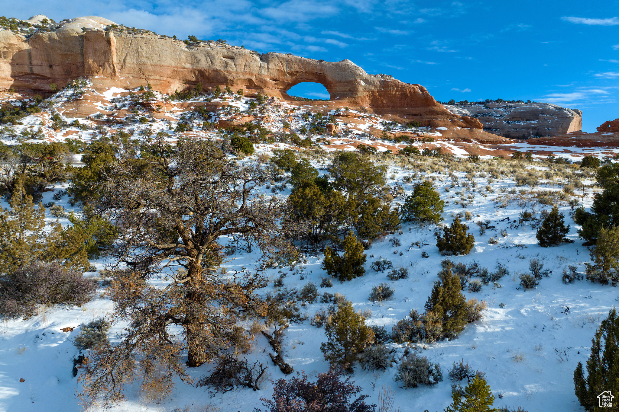 WILSON ARCH RESORT - Commercial Sale