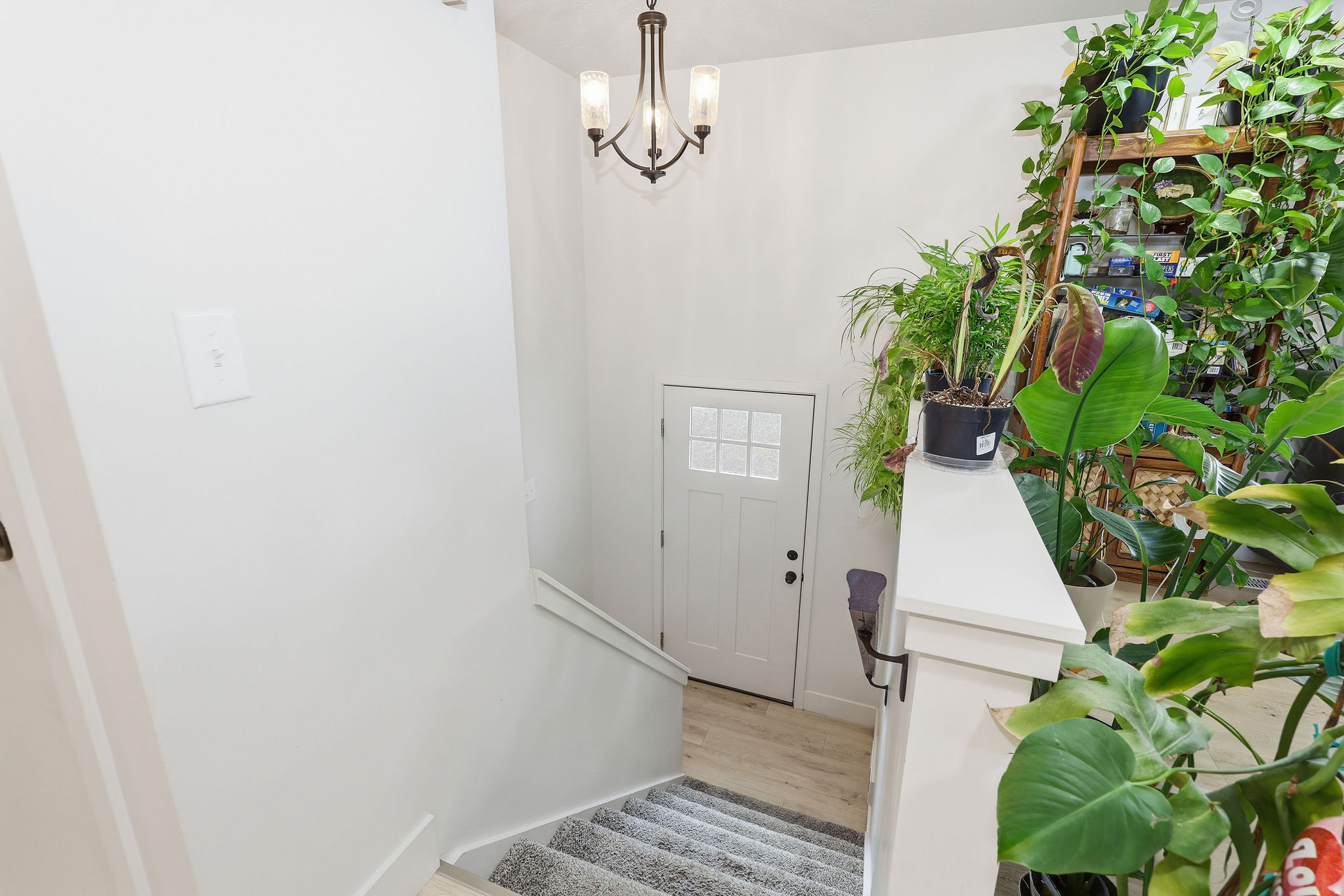 EVE'S GARDEN - Residential