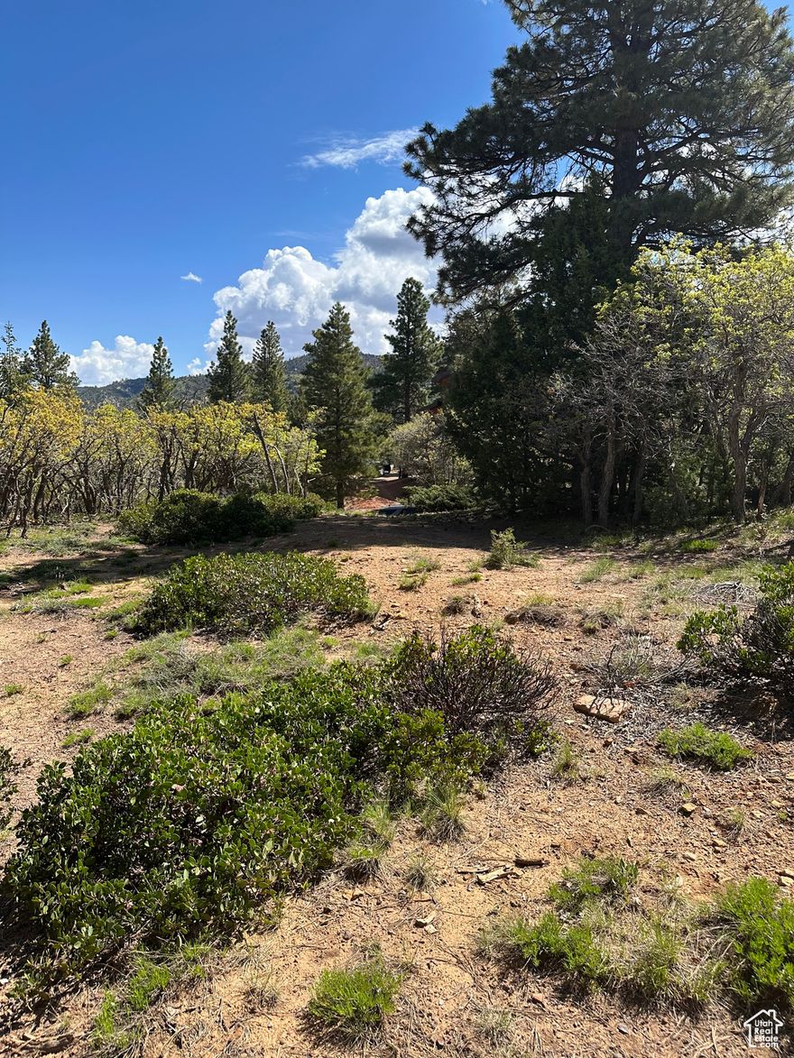 Located in the scenic mountains, this .66-acre lot is the perfect recreational getaway. Surrounded by pine trees and natural beauty, this property offers a great opportunity for camping, RV parking, or building your future cabin retreat. Enjoy cool summer temperatures, peaceful surroundings, and access to a wide variety of outdoor activities including ATV trails, fishing, hiking, and exploring nearby national parks like Zion, Bryce Canyon, and Cedar Breaks. Seasonal access. Buyer to verify availability of utilities, building requirements, and all property information. Legal ALL OF LOT 33 BLOCK 7 BRYCE WOODLAND ESTATES UNIT 5A.