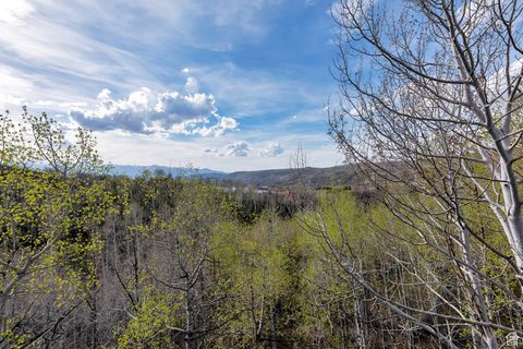Tiny photo for 10481 E SPRING CREEK DR #722, Heber City, UT 84032 (MLS # 2118950)