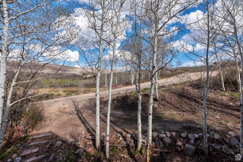 Tiny photo for 10481 E SPRING CREEK DR #722, Heber City, UT 84032 (MLS # 2118950)