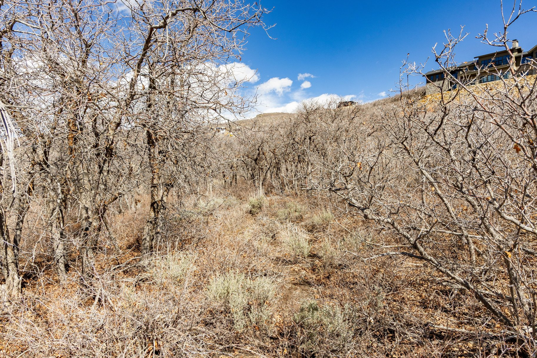 GOLDEN EAGLE SUBDIVI - Land