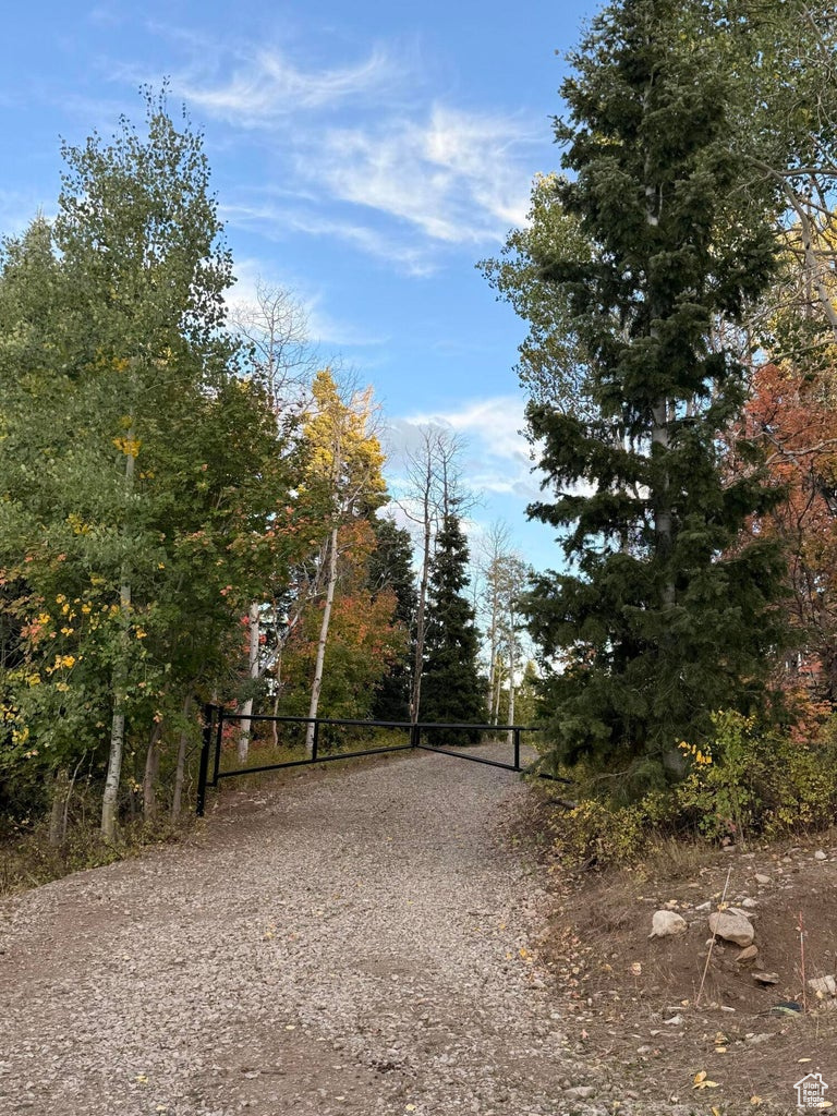 MOUNTAIN VIEW - Land