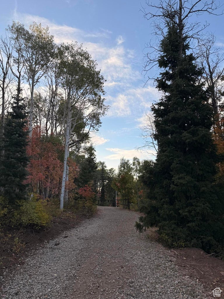 MOUNTAIN VIEW - Land