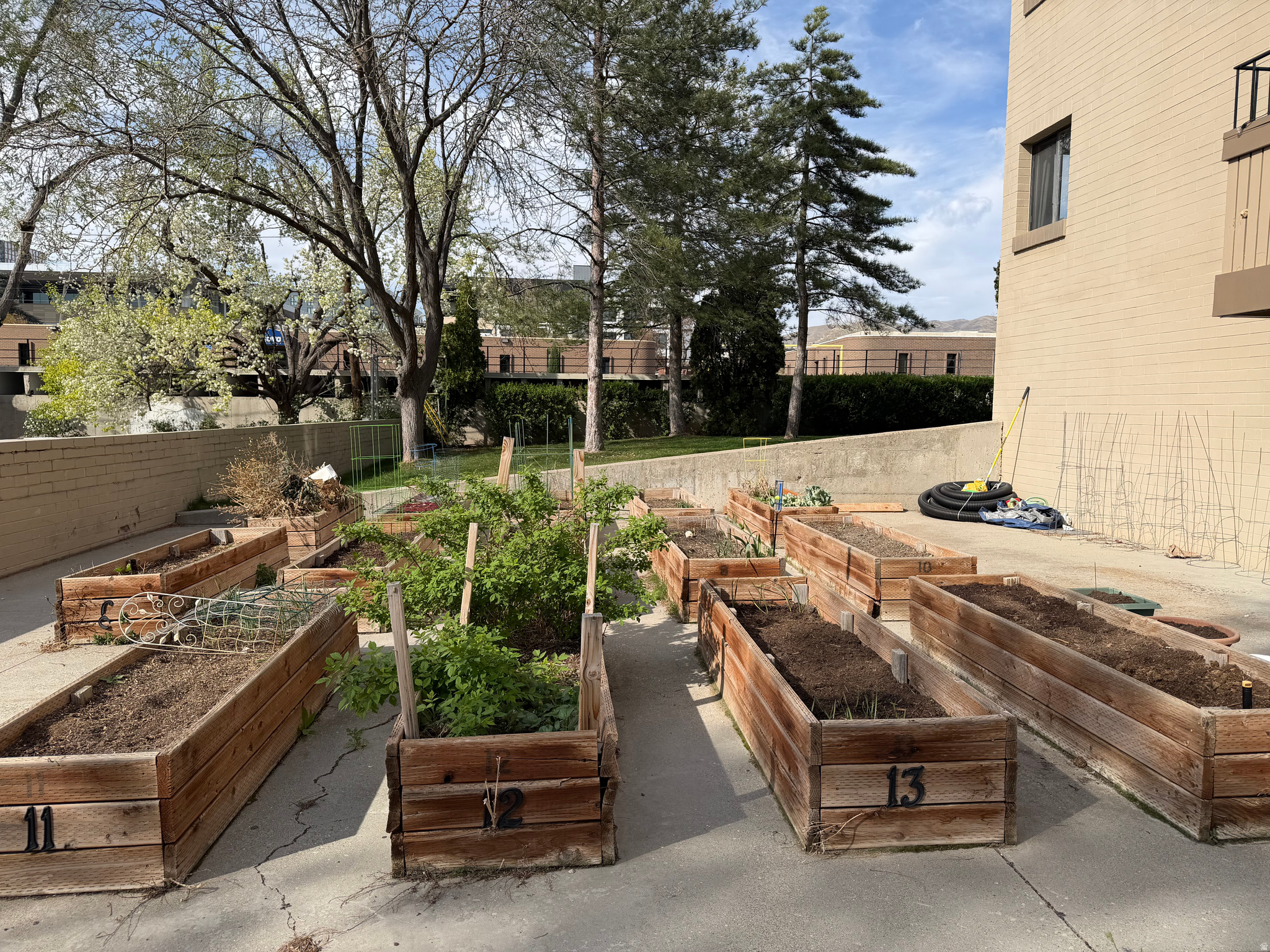 TOWNE PARK - Residential