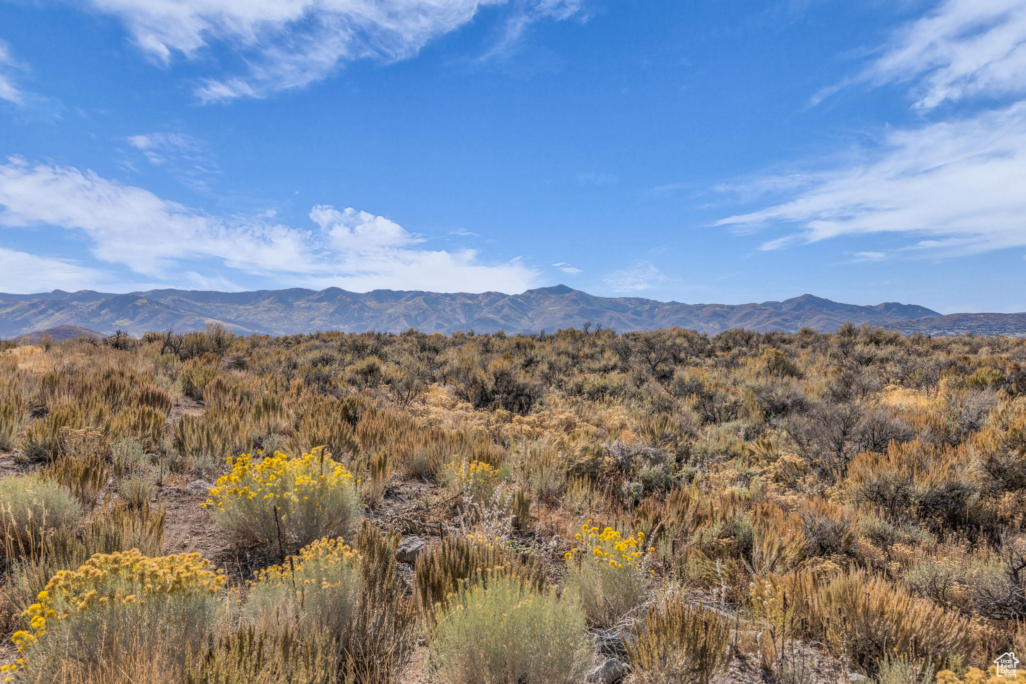 ELK RIDGE BLUFFS - Land