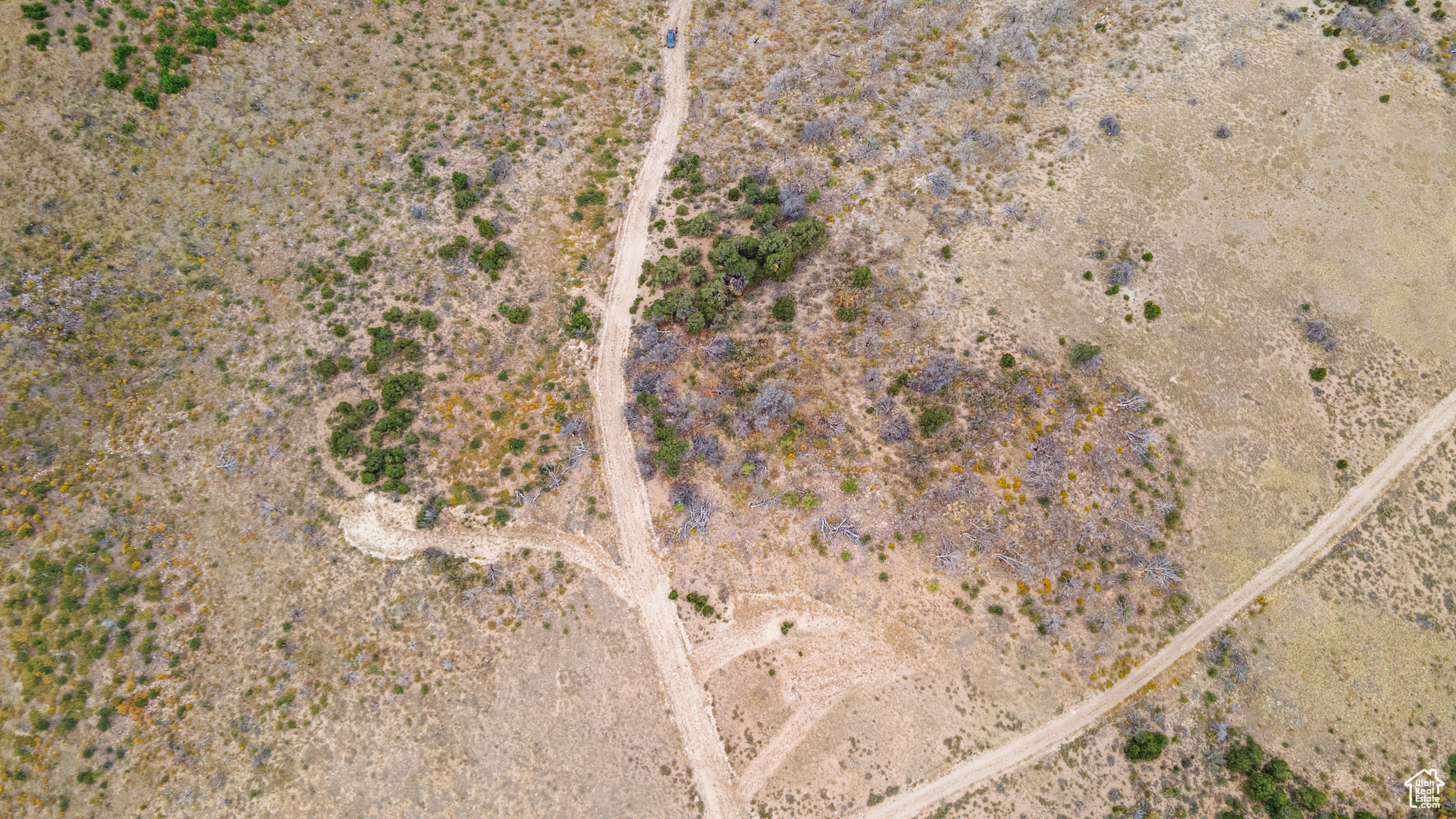 STRAWBERRY PROPERTIES - Land