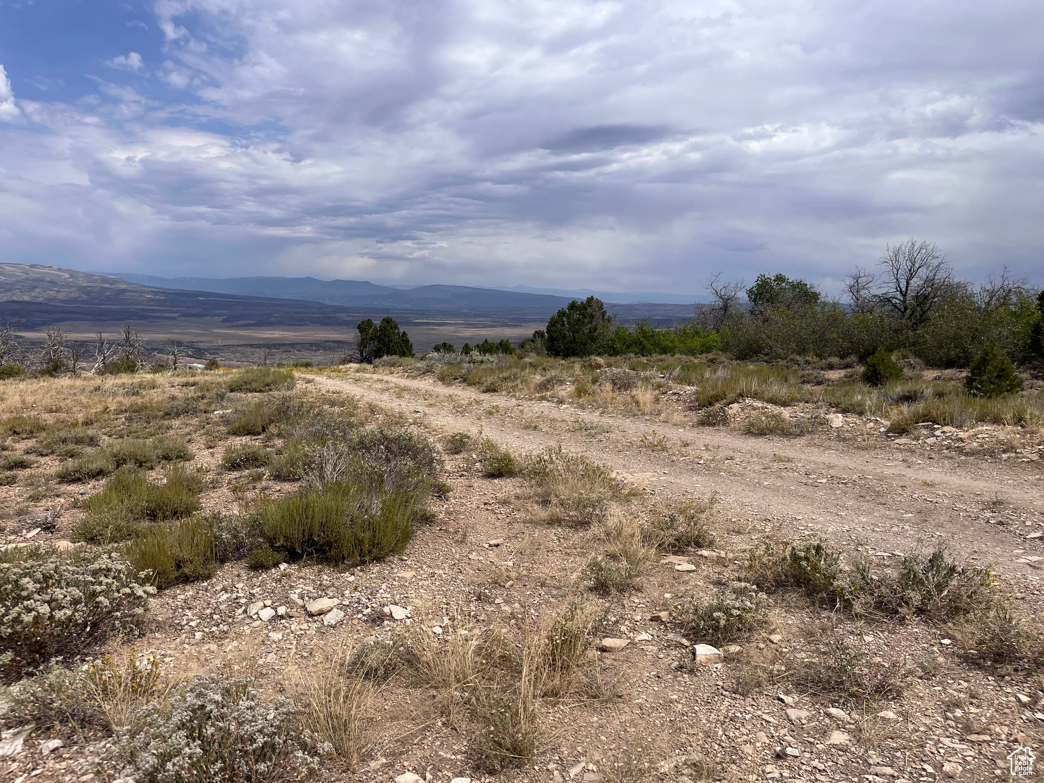 STRAWBERRY PROPERTIES - Land