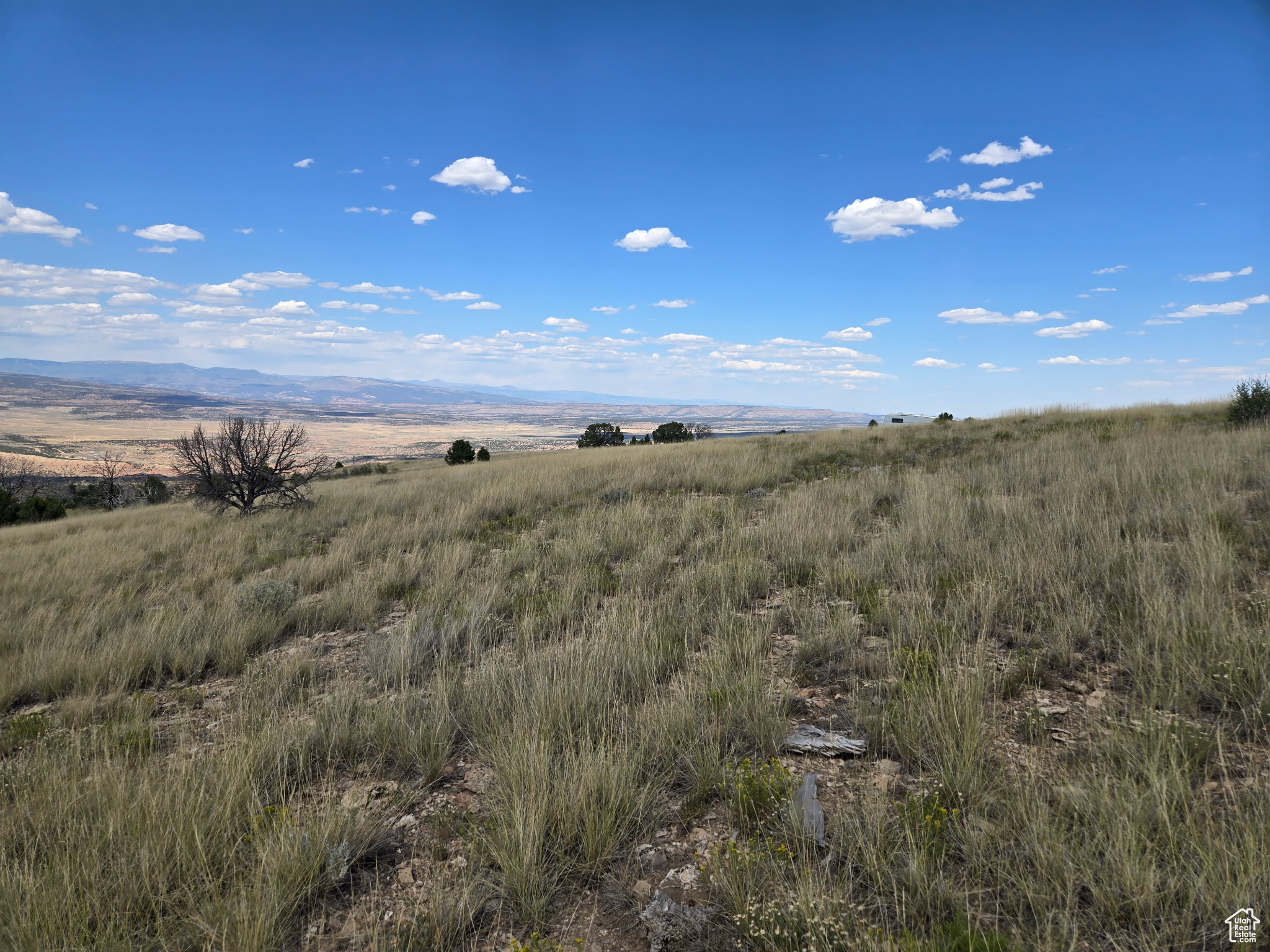 STRAWBERRY PROPERTIES - Land