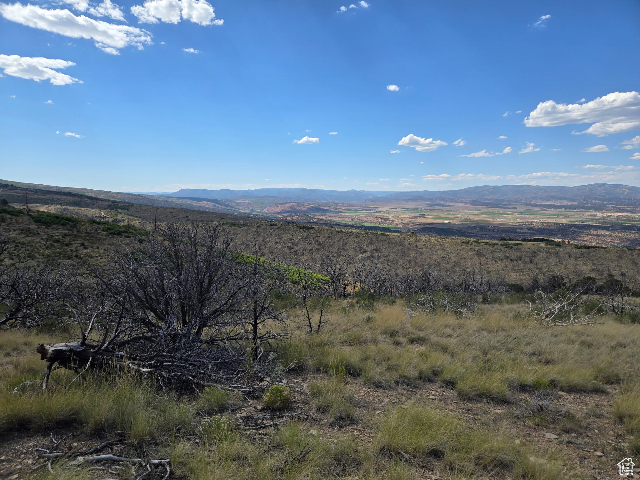 STRAWBERRY PROPERTIES - Land