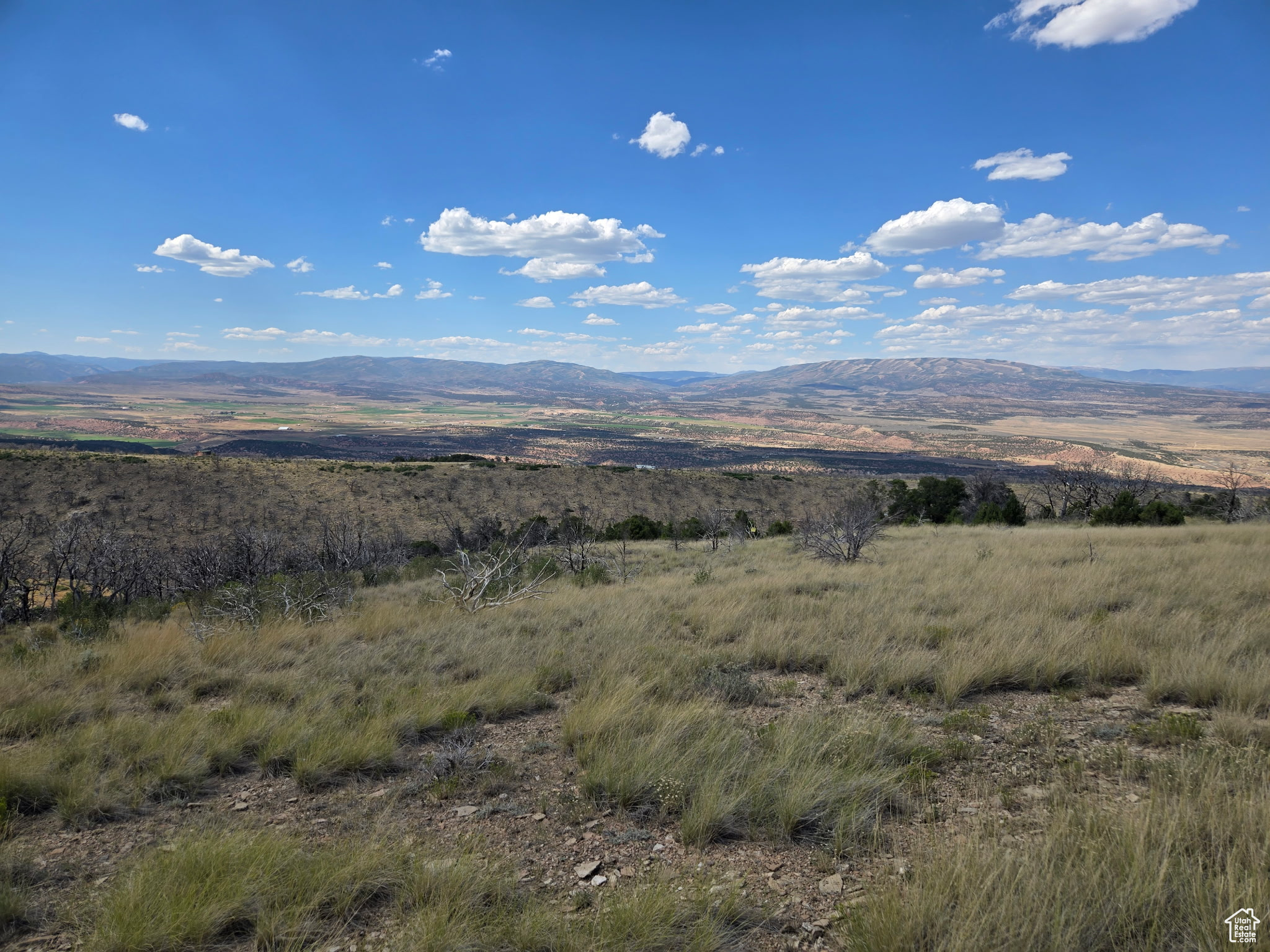 STRAWBERRY PROPERTIES - Land