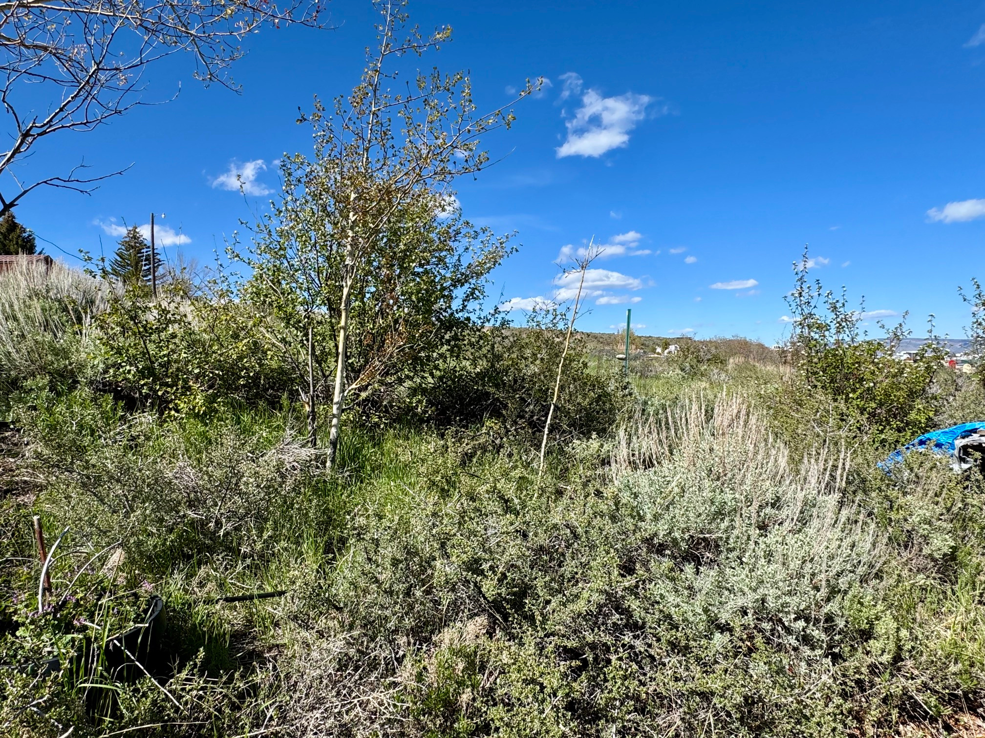 BEAR LAKE RV PARK #2 - Land