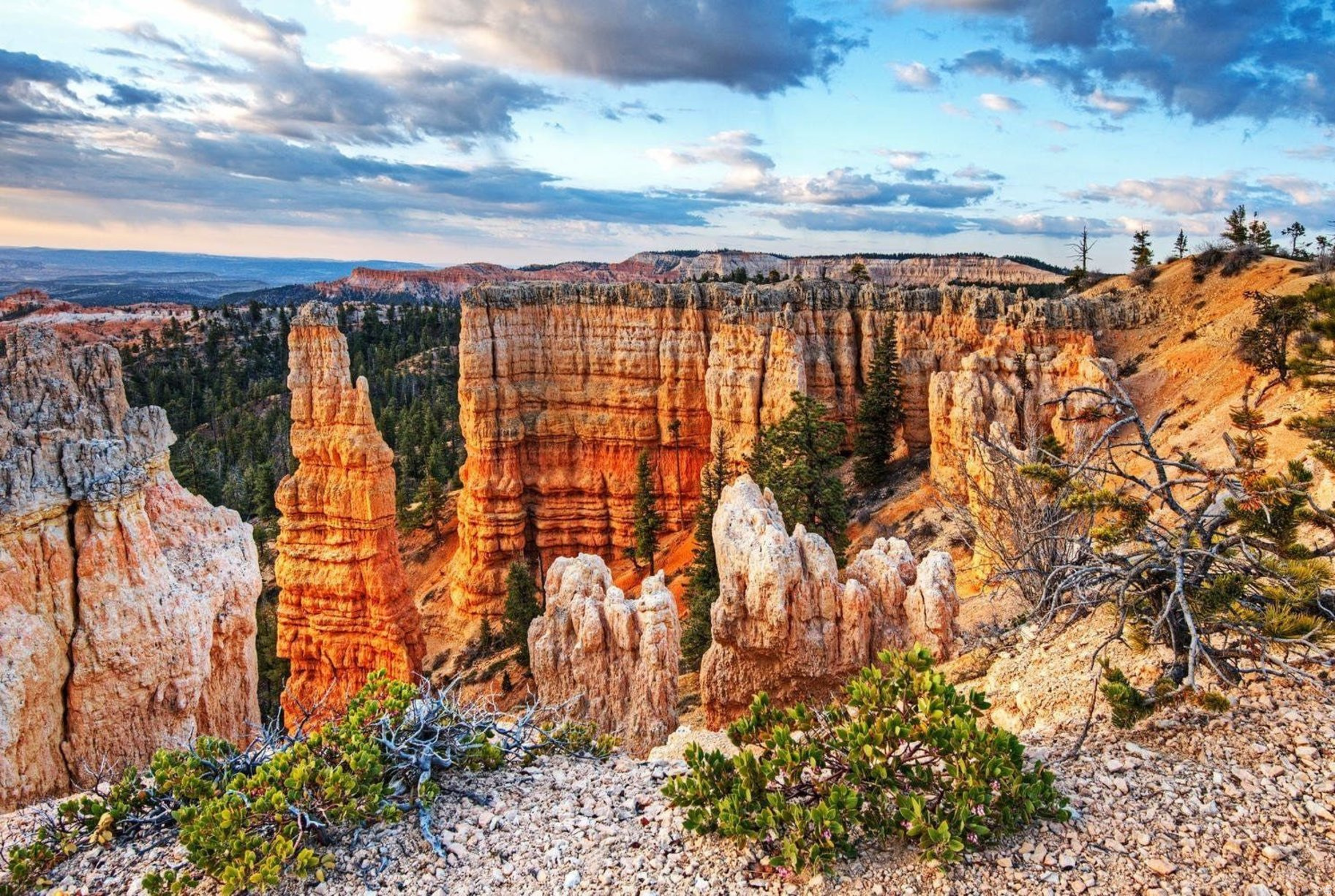 HIGHLAND PARK AREA 4 PH 1 SUB CORAL - Residential