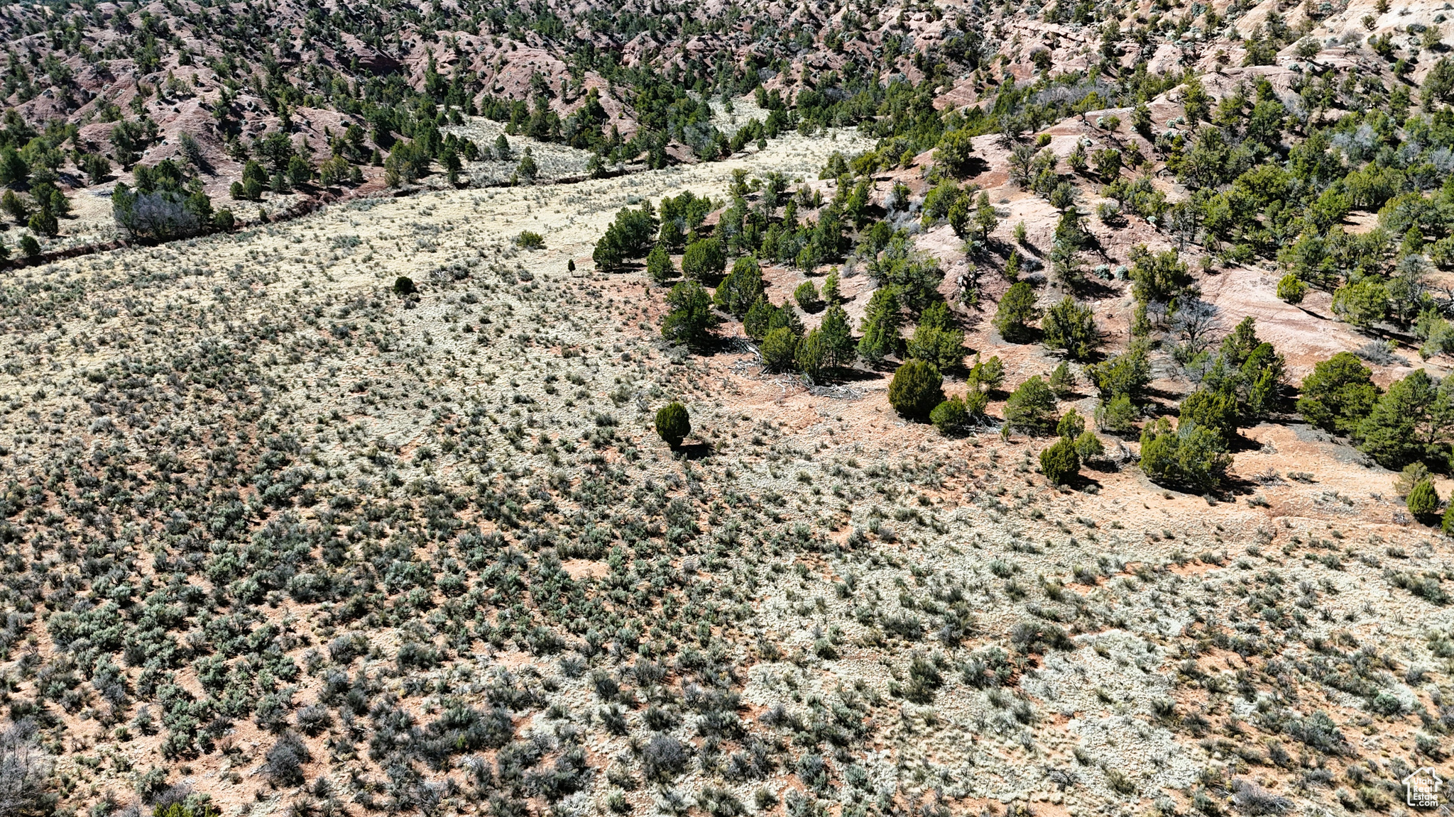 Land, Cannonville, Utah image 2