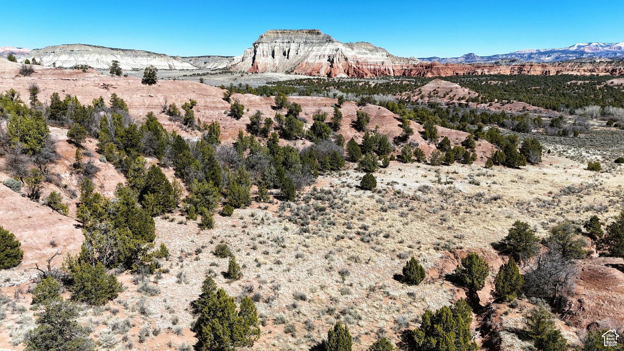 Land, Cannonville, Utah image 8