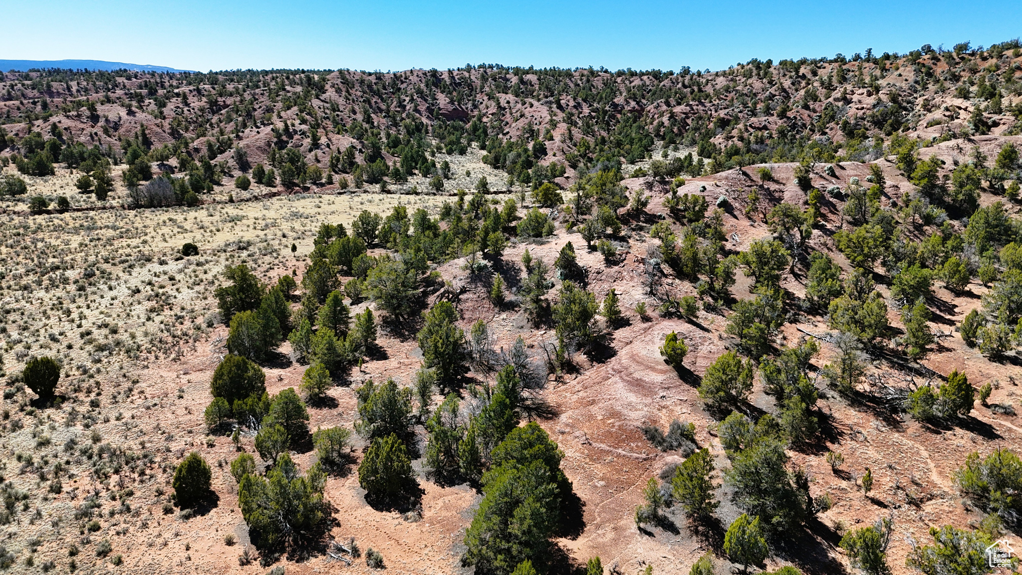 Land, Cannonville, Utah image 5