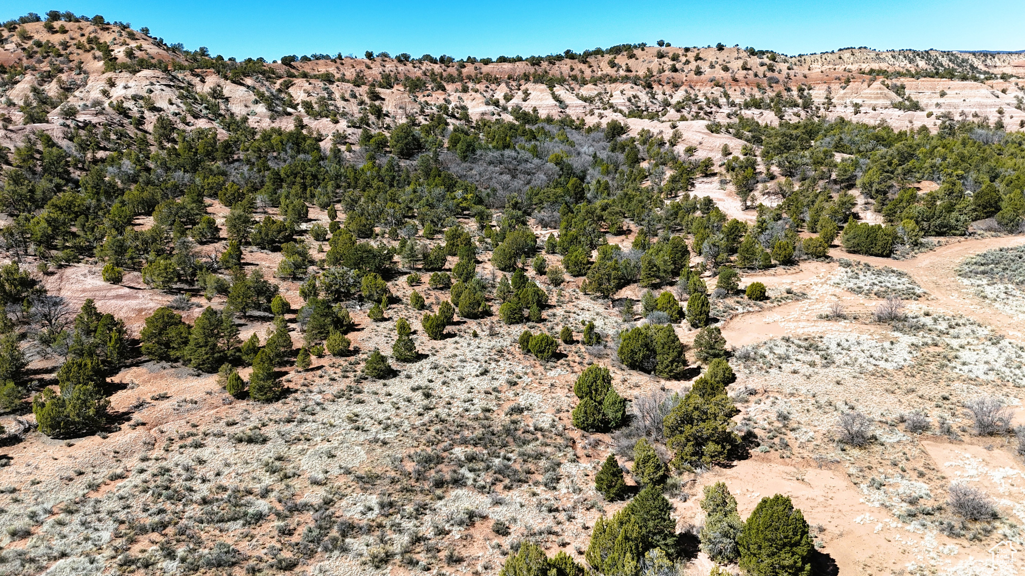 Land, Cannonville, Utah image 4