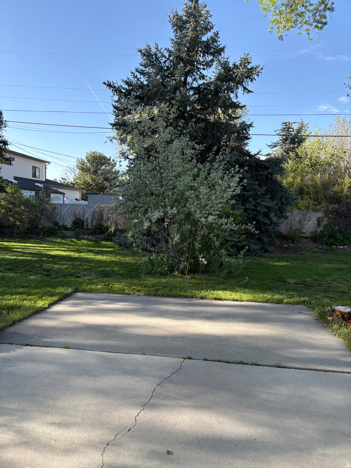 COTTONWOOD M - Residential