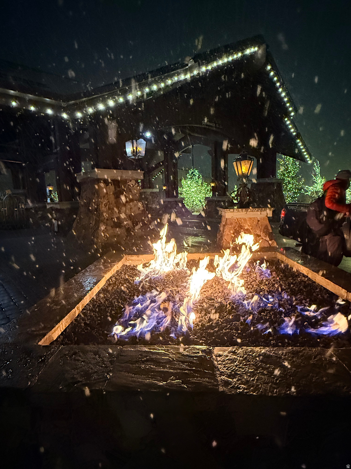 WALDORF ASTORIA - Residential