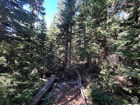 Vacant Land For Sale - Land<br/> Brian Head, UT 84719