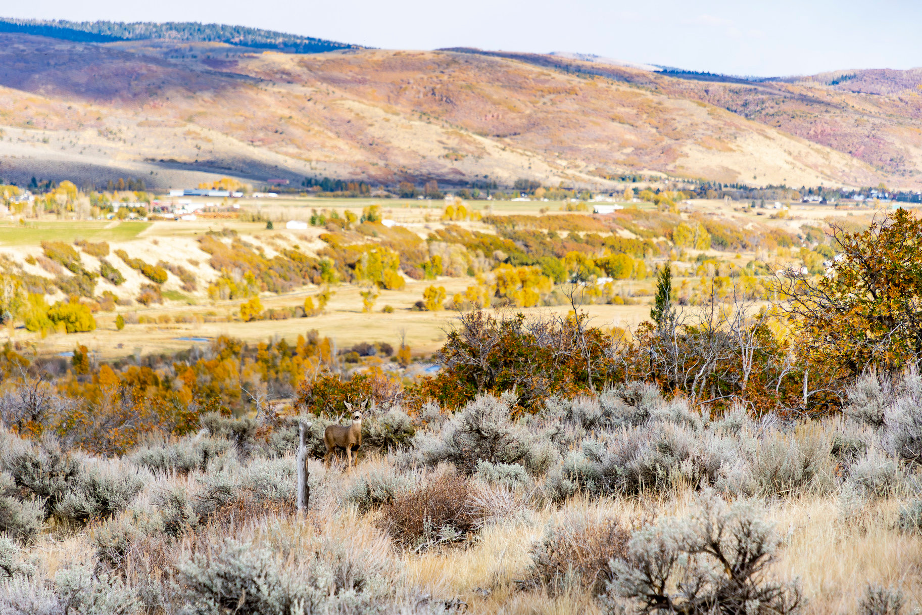 VICTORY RANCH - Land