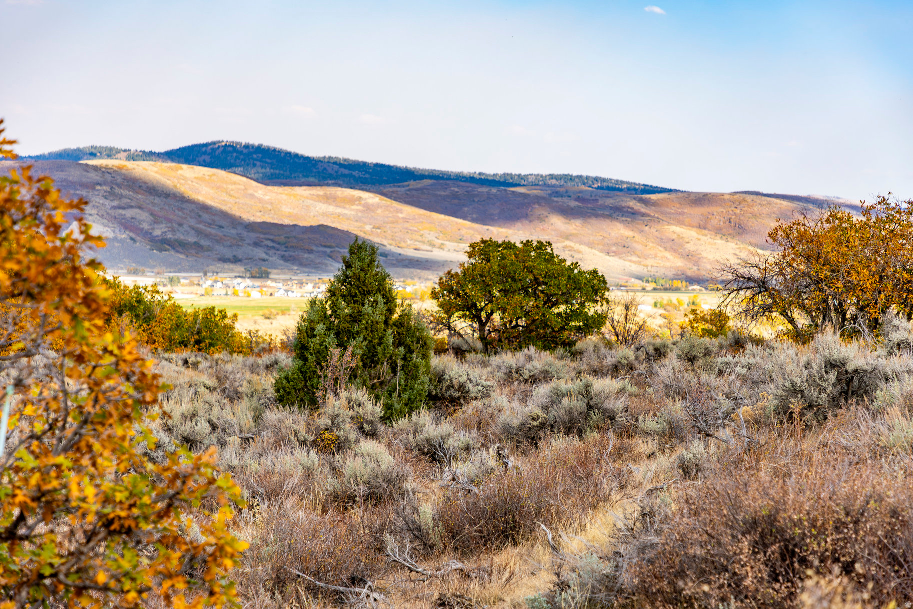 VICTORY RANCH - Land