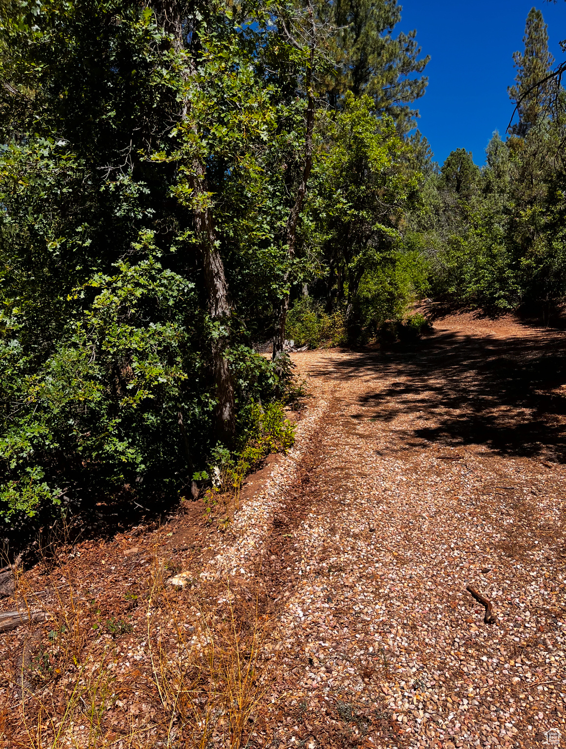 ALL OF LOT 2 BLOCK "F" AMENDED PLAT OF LITTLE POND - Land