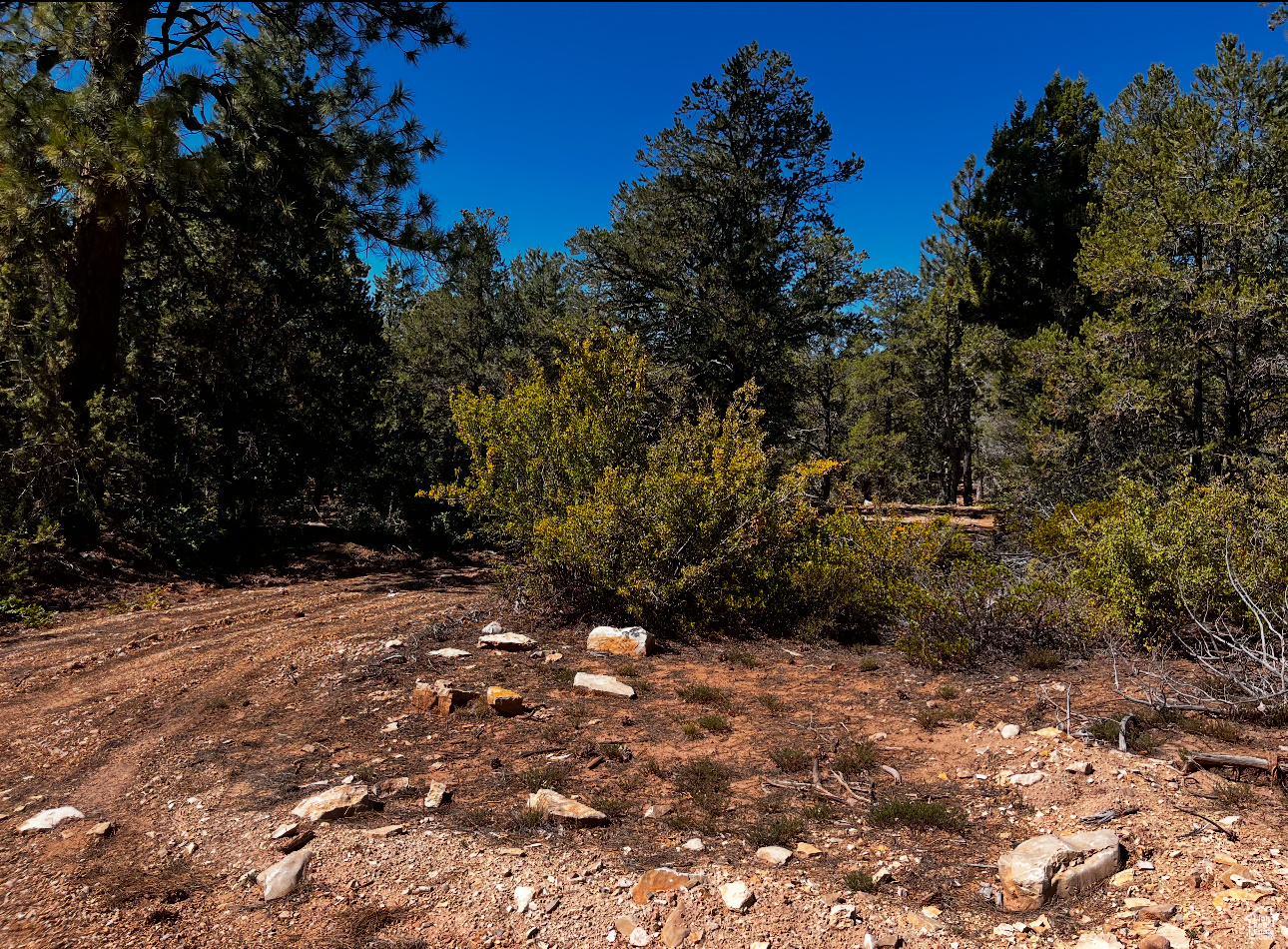 ALL OF LOT 2 BLOCK "F" AMENDED PLAT OF LITTLE POND - Land