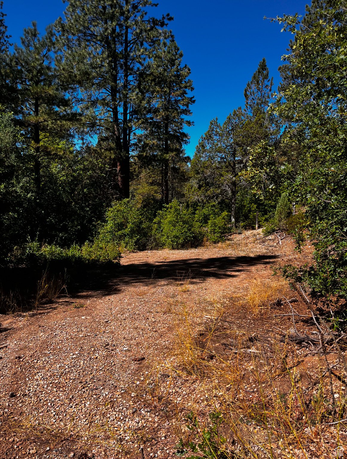 ALL OF LOT 2 BLOCK "F" AMENDED PLAT OF LITTLE POND - Land